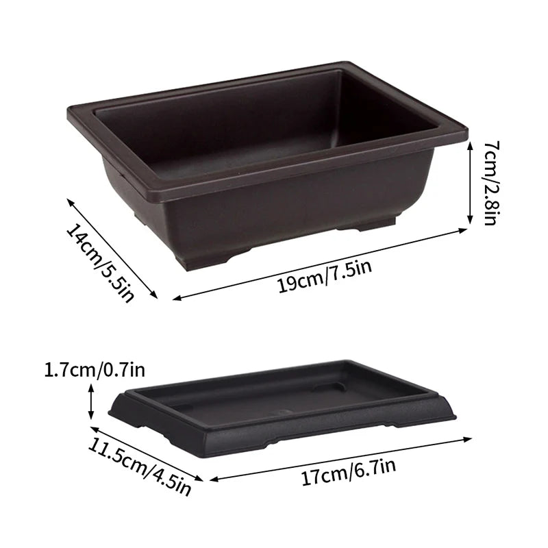 Square Bonsai Tray Planter – Imitation Purple Clay Flower Pot