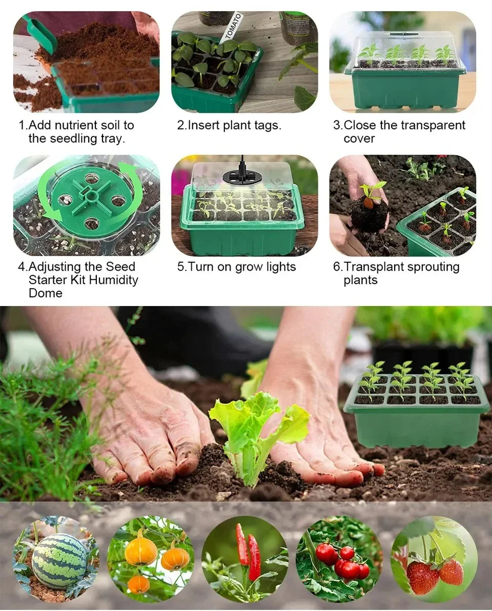 LED Grow Light Seed Starter Kit – 12-Cell Full Spectrum Germination Tray