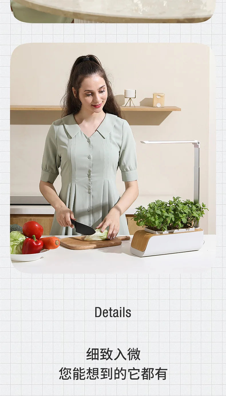 Smart Hydroponic Flowerpot – Mini Indoor Vegetable & Succulent Planter