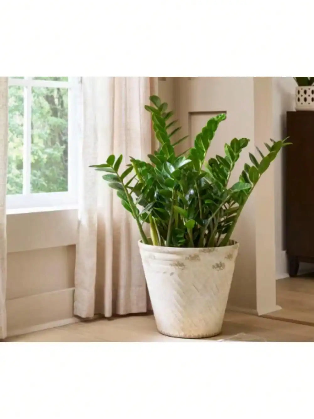 Large Durable Plant Pot – Indoor Frost & Fade Resistant Planter