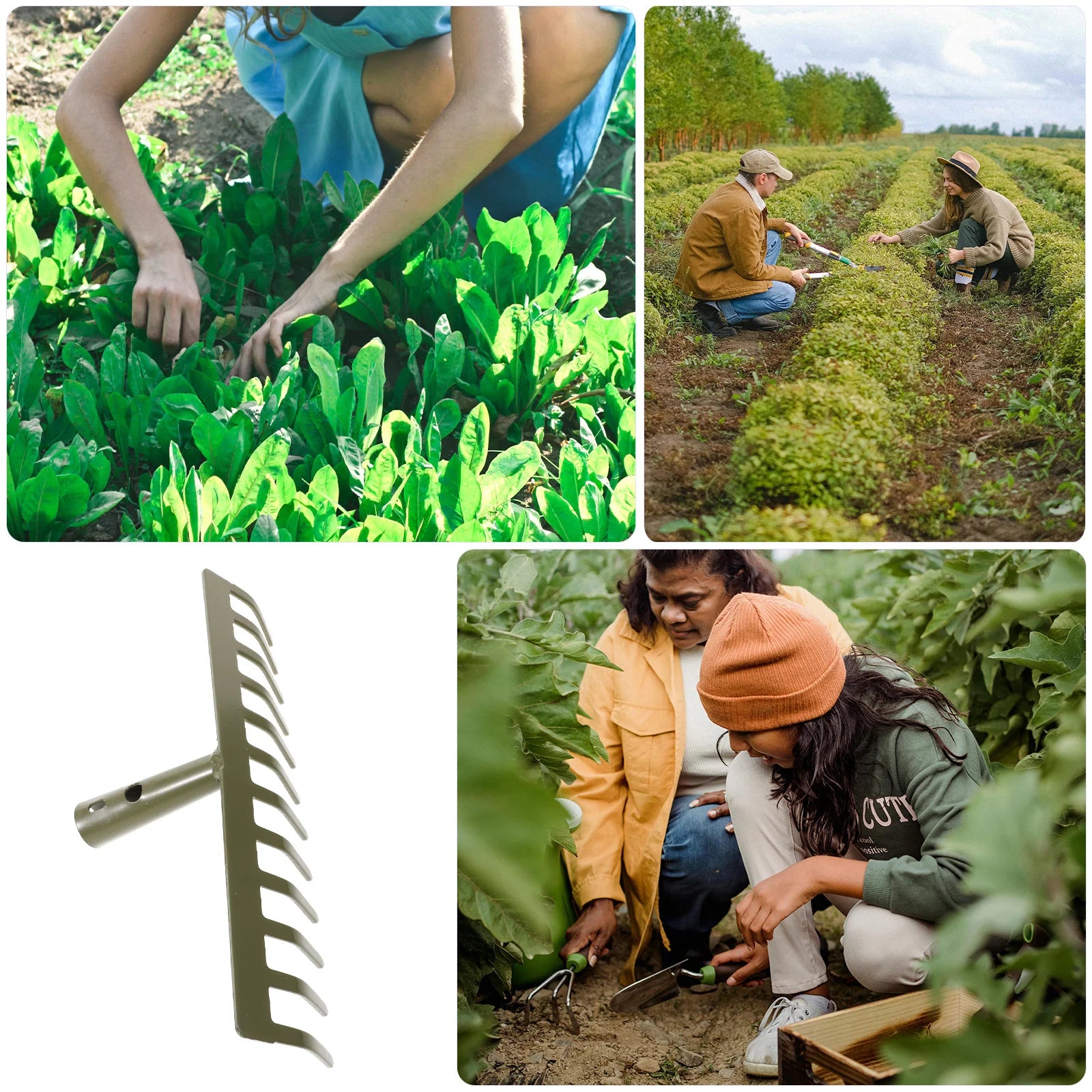 Heavy-Duty Mini Garden Rake Head – Soil & Leaf Loosening Tool