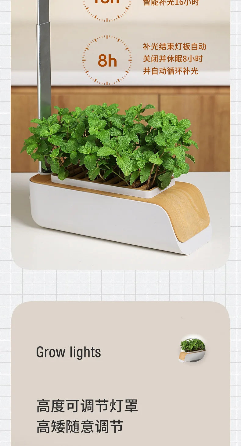 Smart Hydroponic Flowerpot – Mini Indoor Vegetable & Succulent Planter