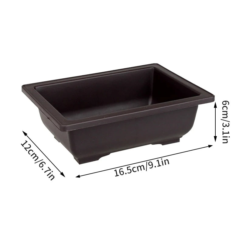 Square Bonsai Tray Planter – Imitation Purple Clay Flower Pot