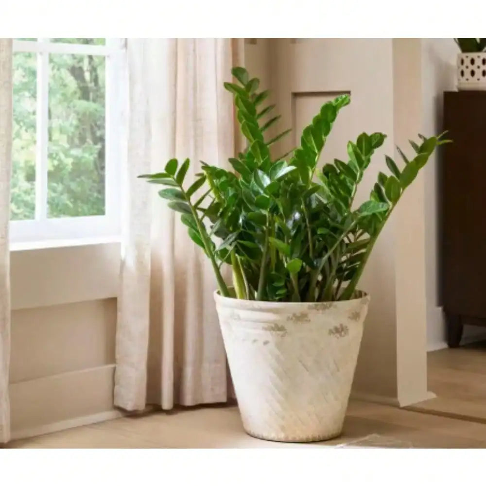 Large Durable Plant Pot – Indoor Frost & Fade Resistant Planter