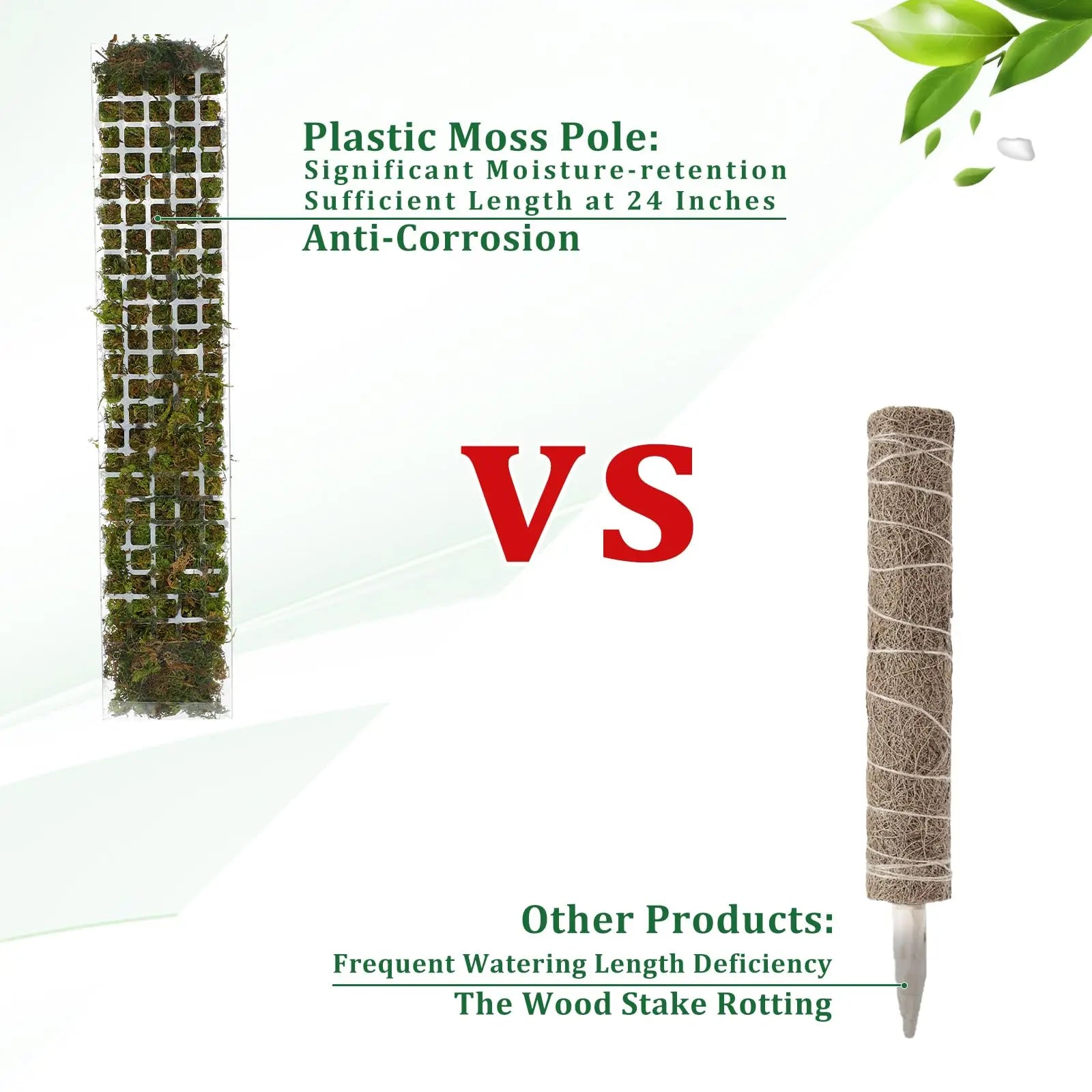 Moss Pole Plant Support – Indoor Climbing Plant Stand