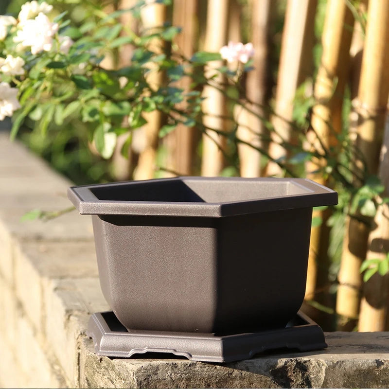 Square Bonsai Tray Planter – Imitation Purple Clay Flower Pot