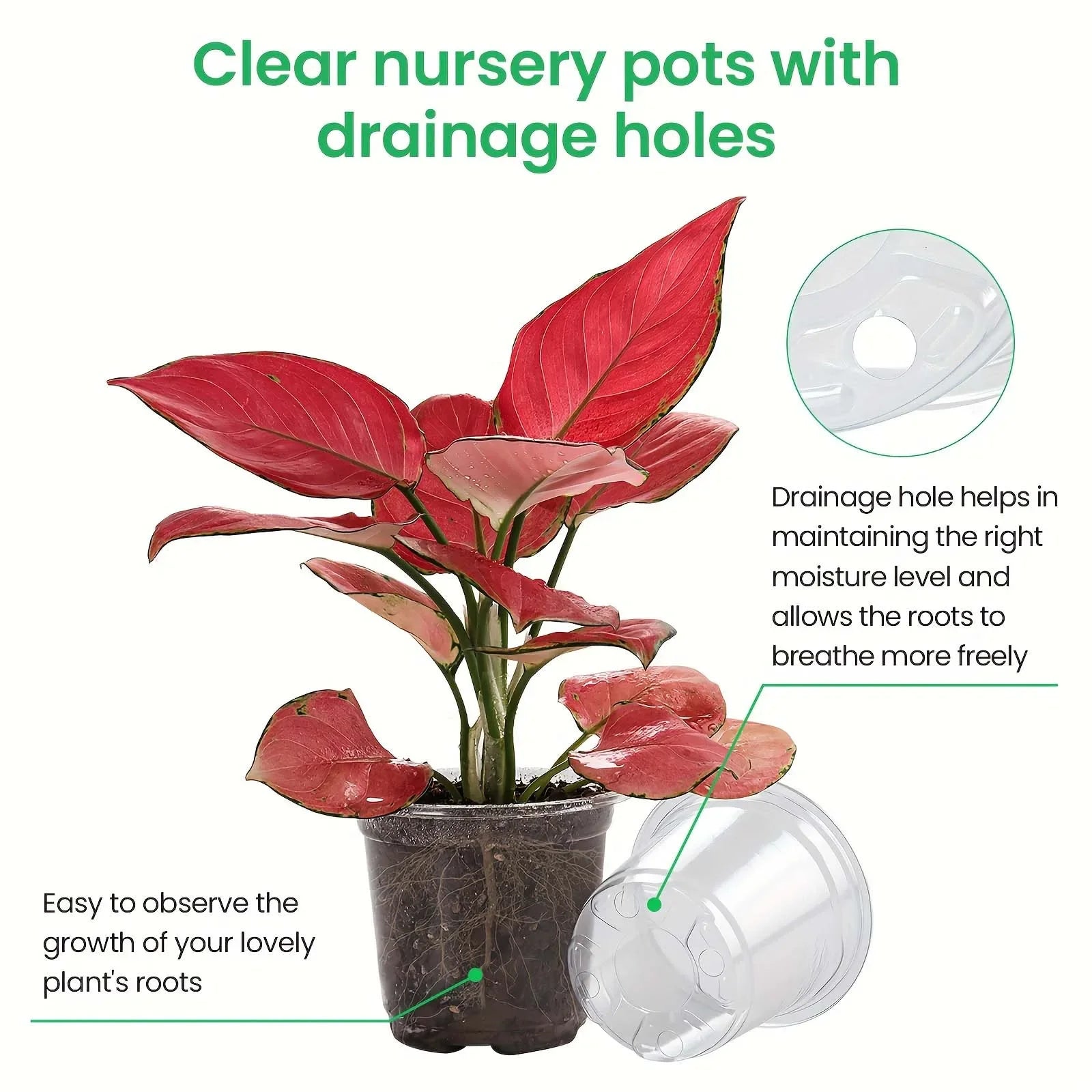 72-Piece Clear Nursery Pot Set with Trays & Labels – Seed Starter Kit