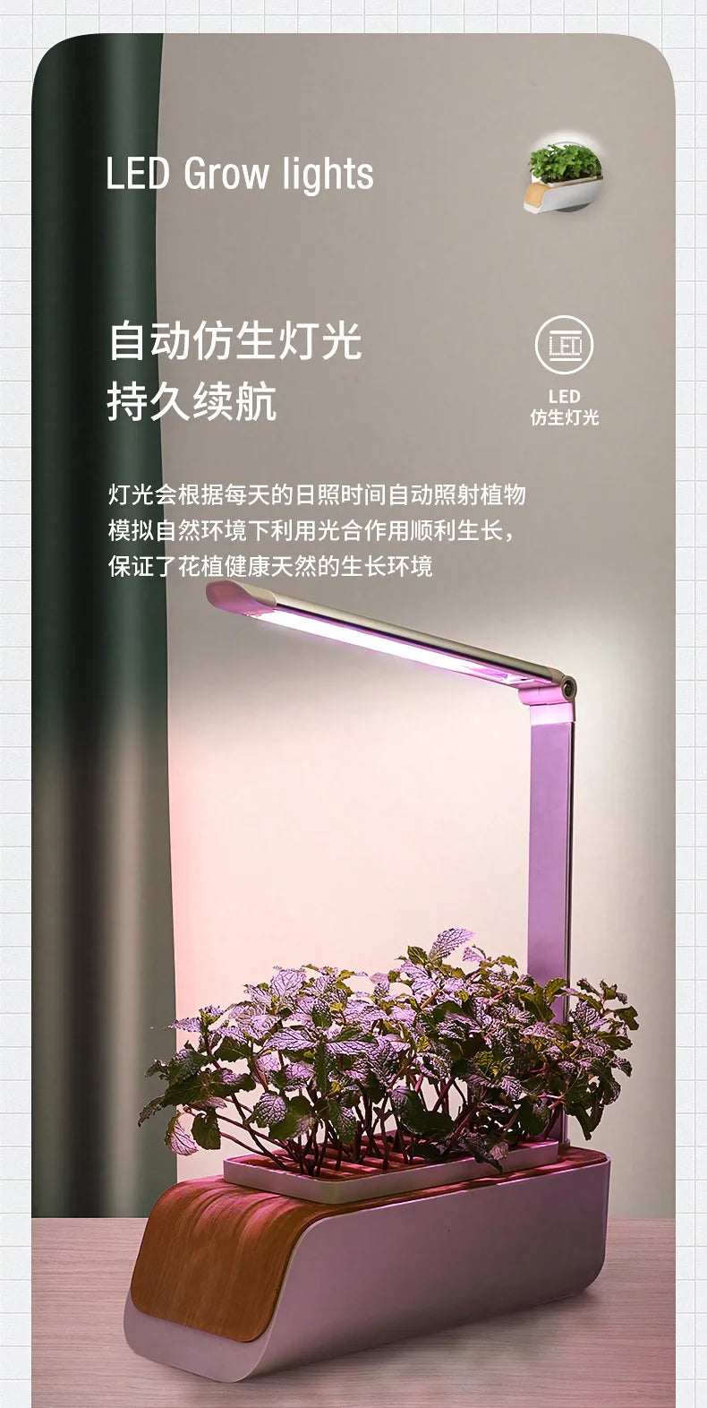 Smart Hydroponic Flowerpot – Mini Indoor Vegetable & Succulent Planter