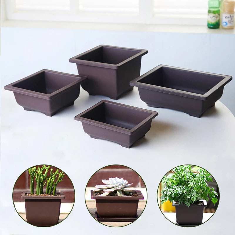 Square Bonsai Tray Planter – Imitation Purple Clay Flower Pot