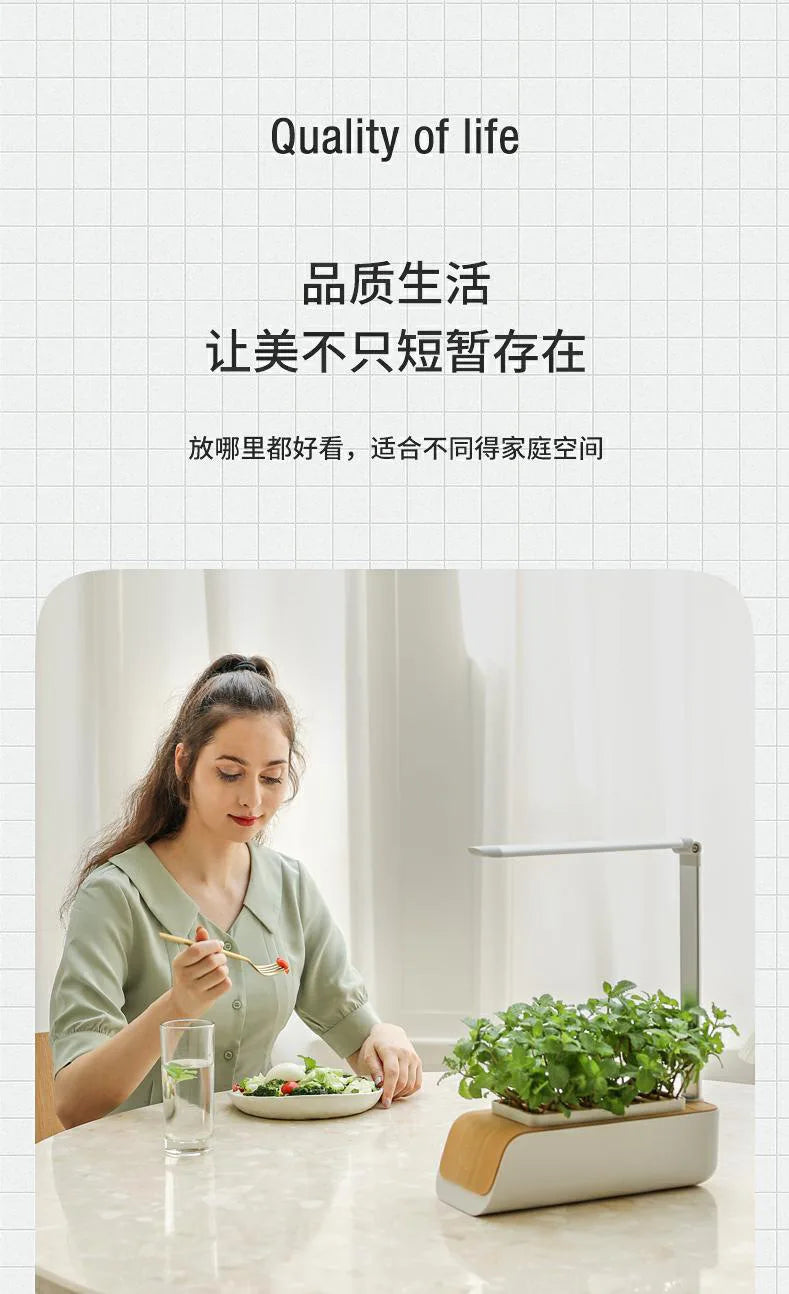 Smart Hydroponic Flowerpot – Mini Indoor Vegetable & Succulent Planter