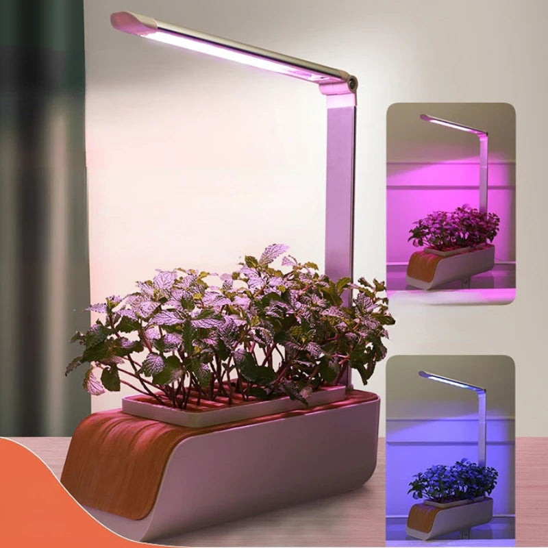 Smart Hydroponic Flowerpot – Mini Indoor Vegetable & Succulent Planter