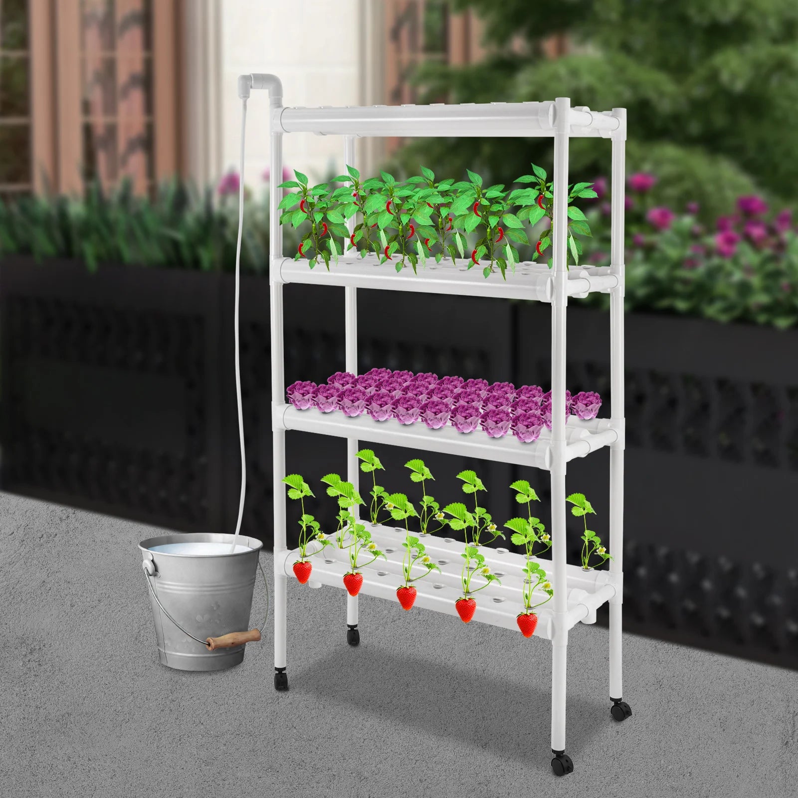 108-Site Hydroponic Grow Stand – Home System with Wheels & Pump