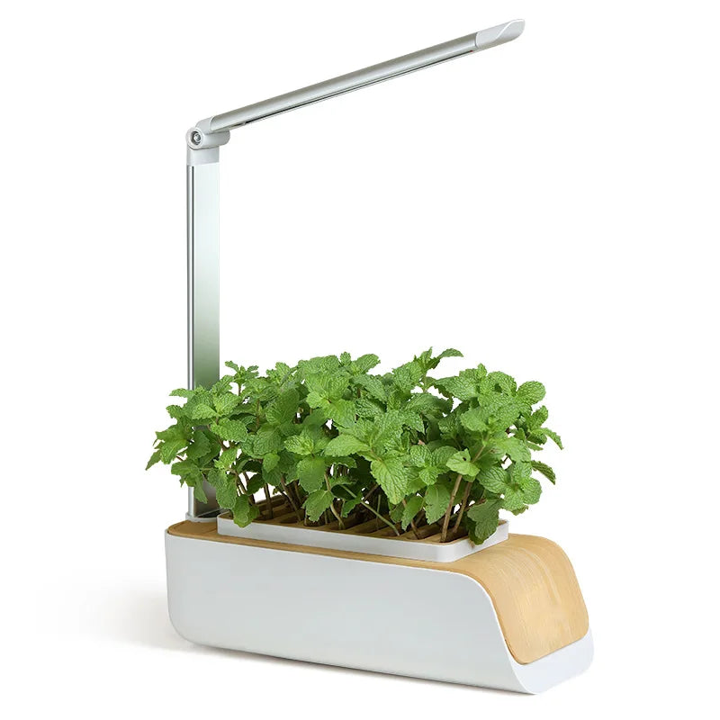 Smart Hydroponic Flowerpot – Mini Indoor Vegetable & Succulent Planter