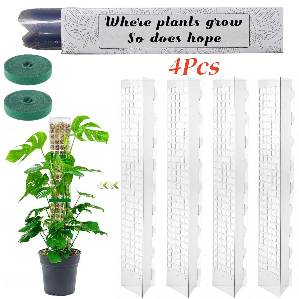 Moss Pole Plant Support – Indoor Climbing Plant Stand