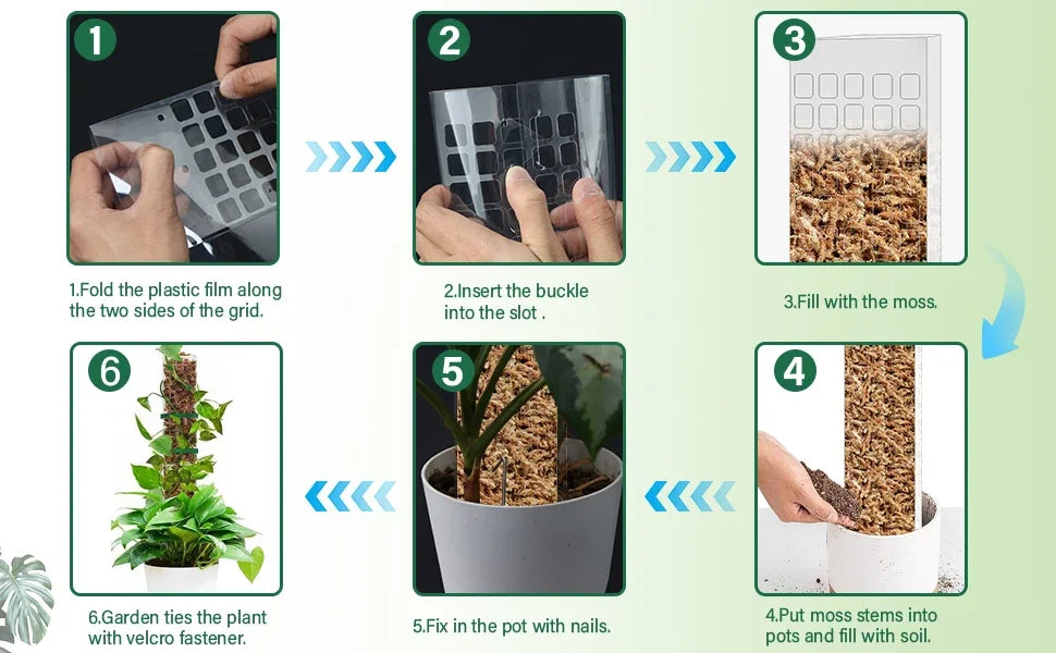 Moss Pole Plant Support – Indoor Climbing Plant Stand