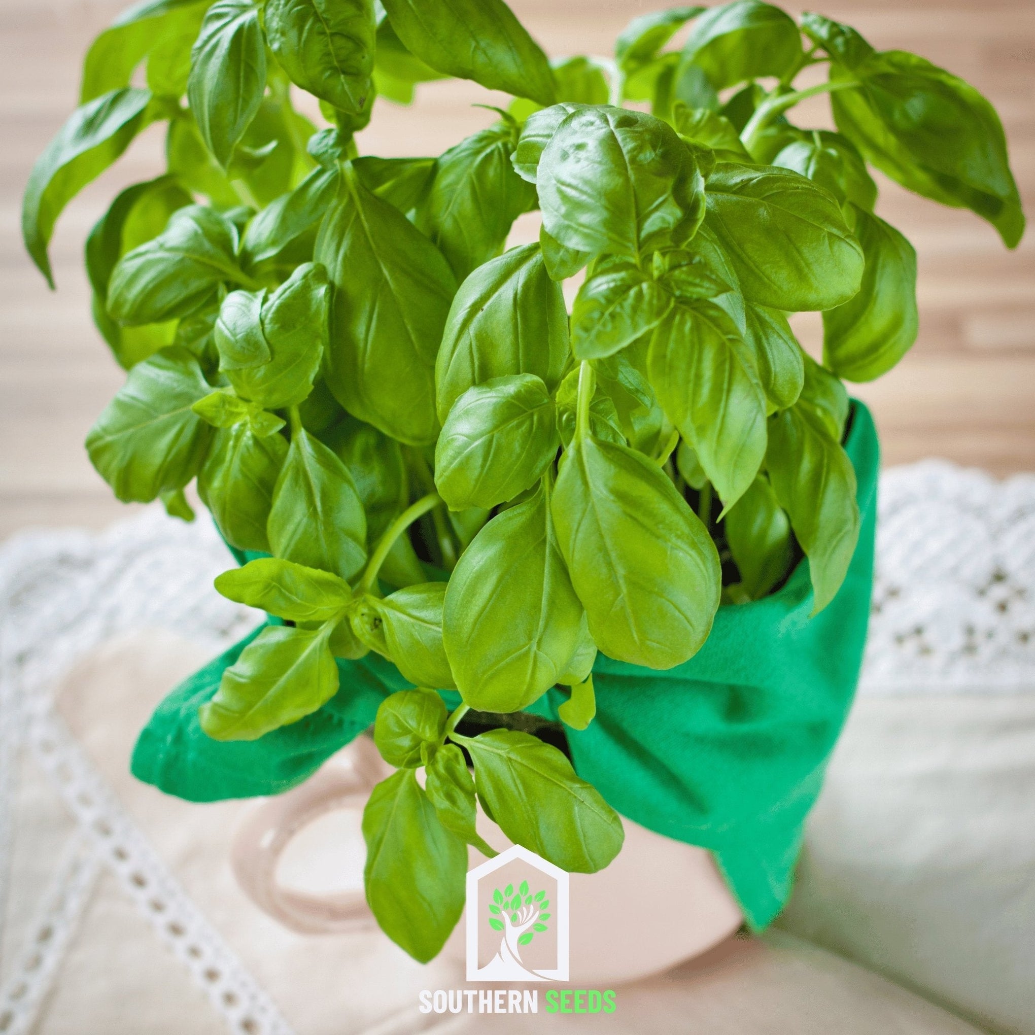 Sweet Basil – 250 Seeds