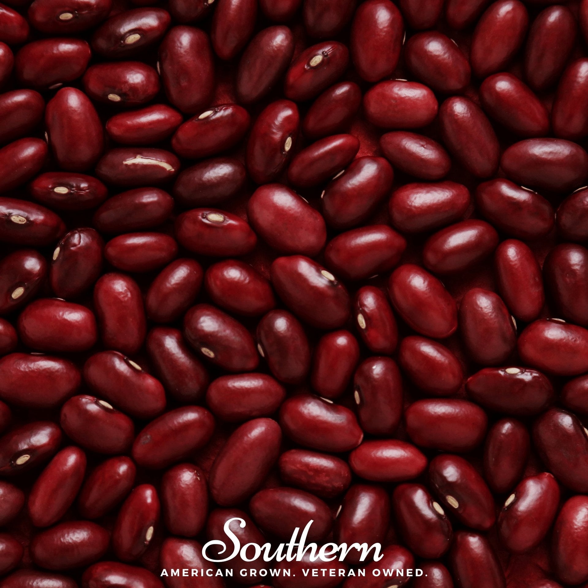 Dark Red Kidney Bean (Bush) – 20 Seeds