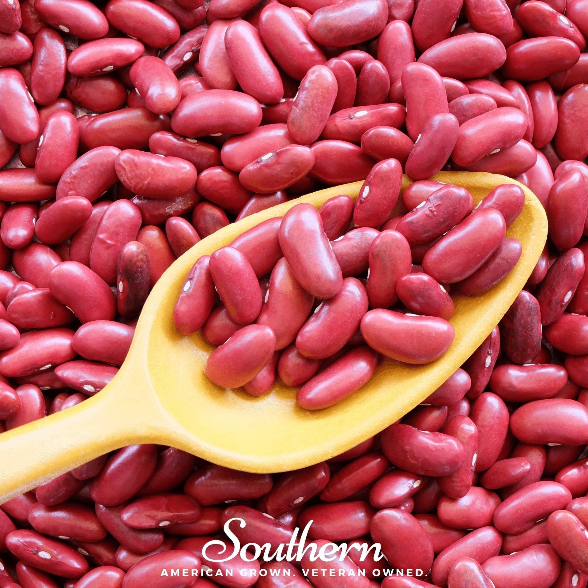Light Red Kidney Bean (Bush) – 20 Seeds