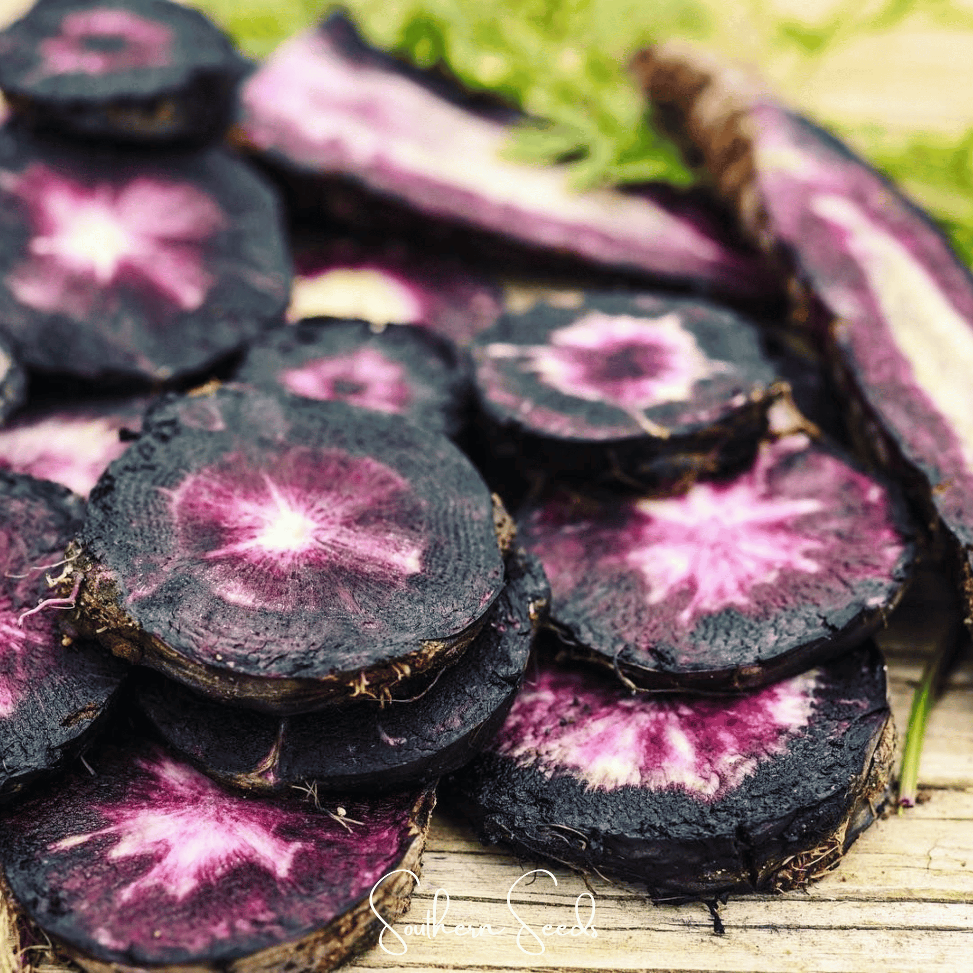 Black Nebula Carrot – 250 Seeds