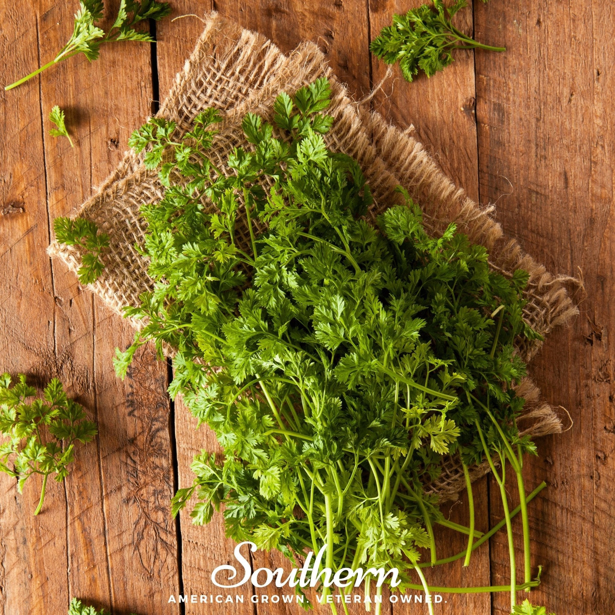 Curled Chervil – 200 Seeds