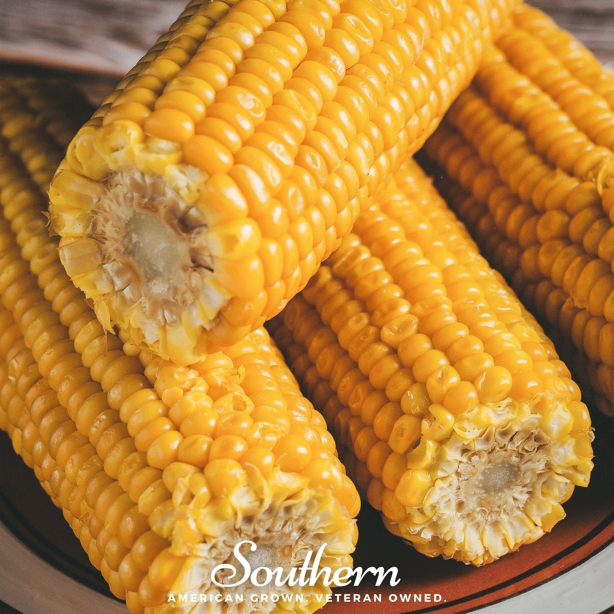 Bodacious Corn – 60 Seeds