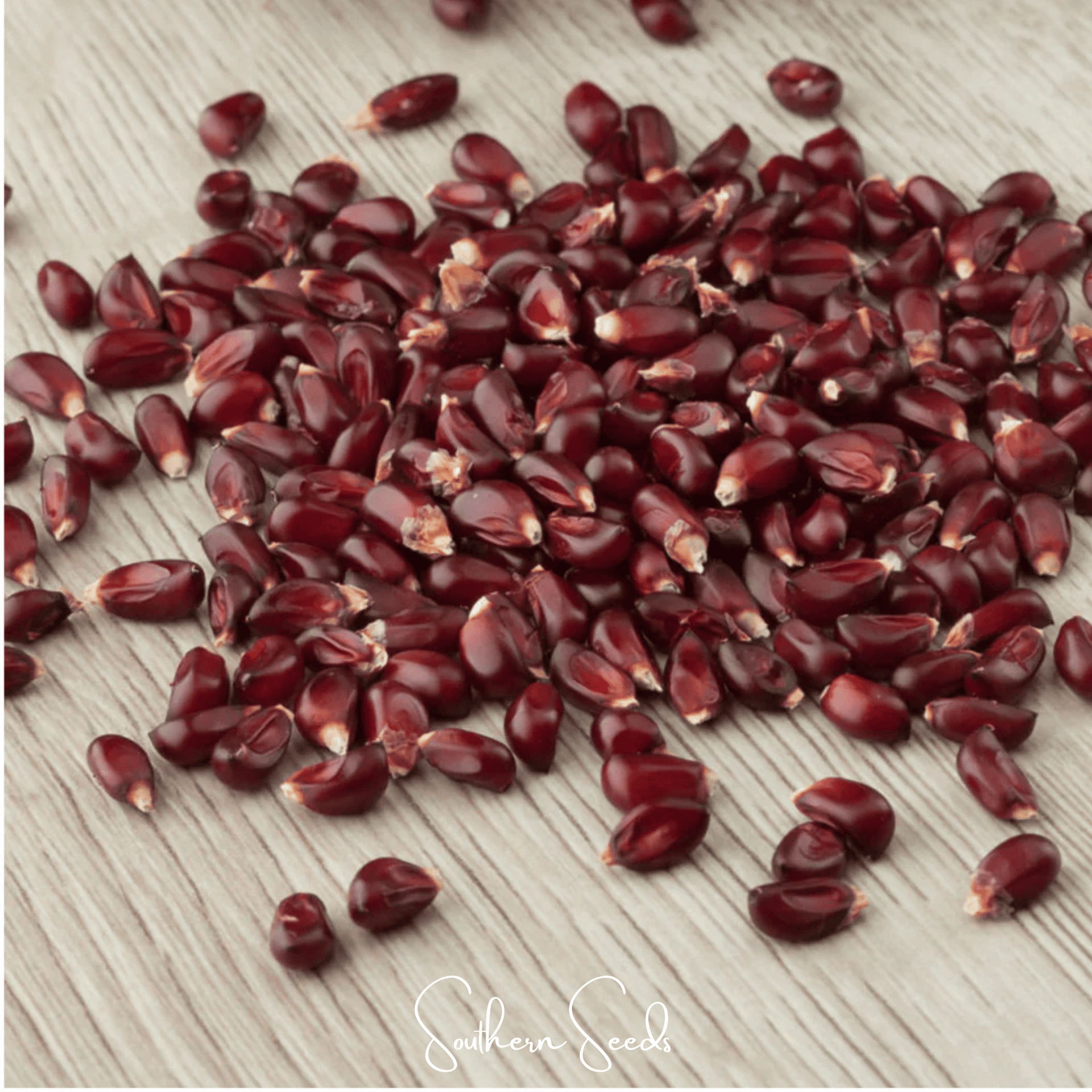 Strawberry Corn – 30 Seeds