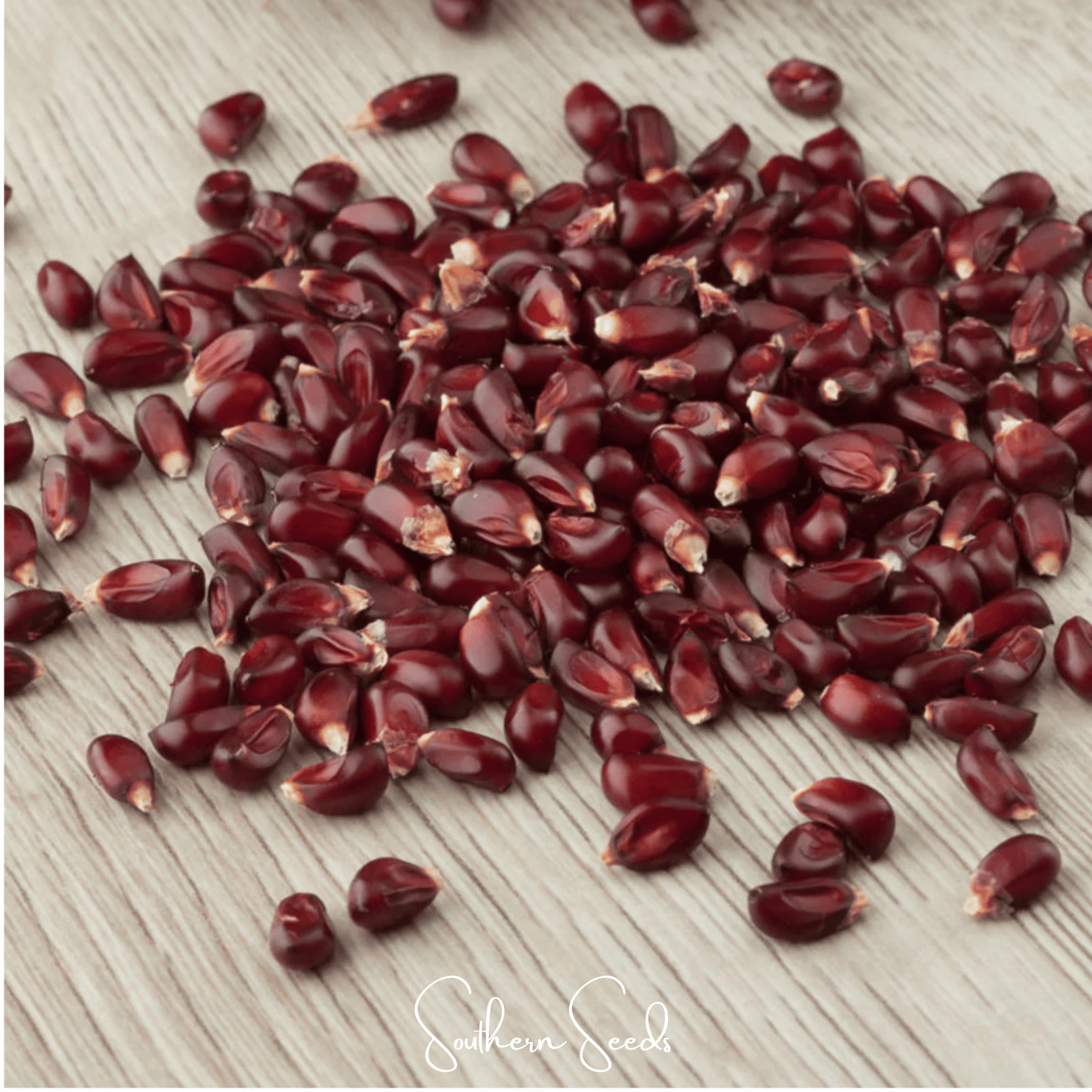 Strawberry Corn – 30 Seeds