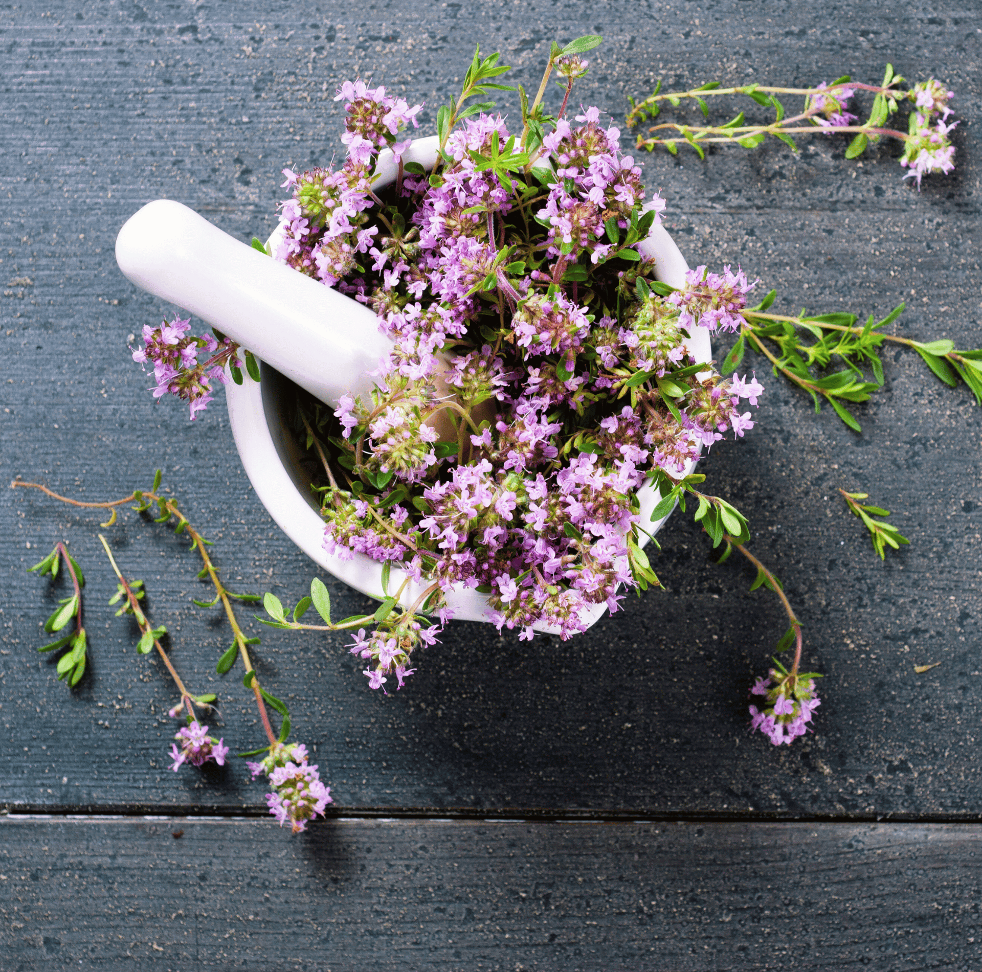 Creeping Thyme – 250 Seeds