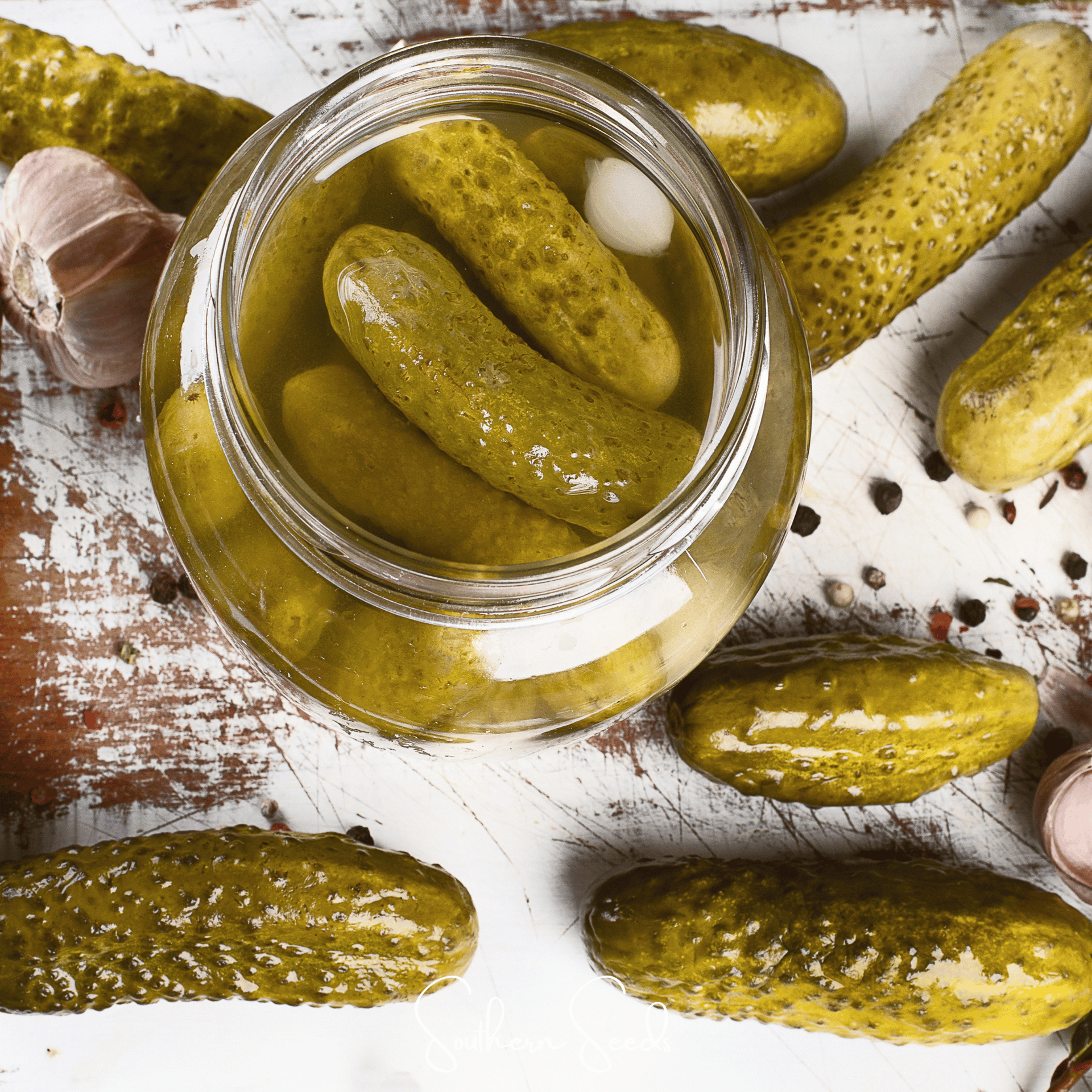 National Pickling Cucumber – 30 Seeds