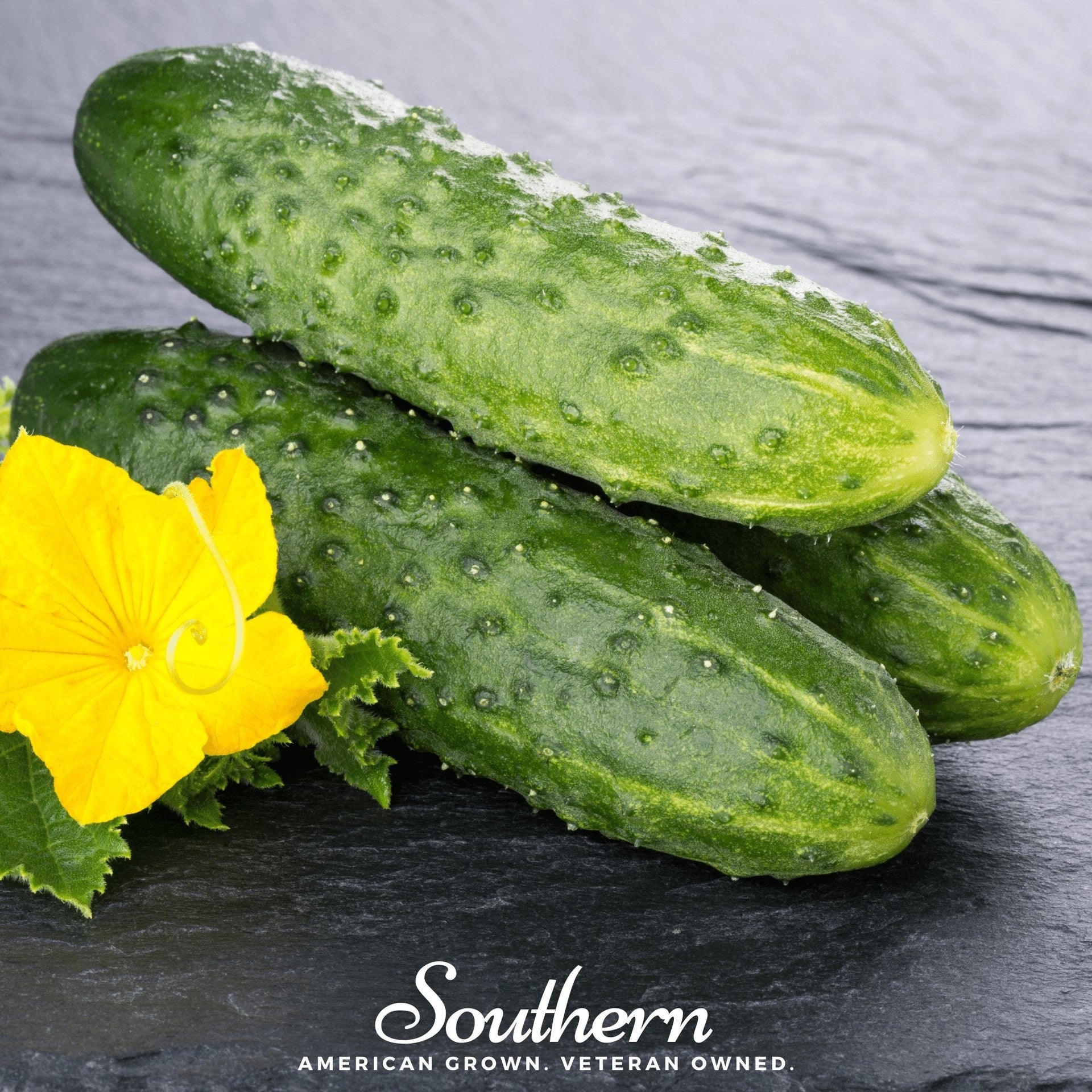 Pioneer Cucumber – 30 Seeds