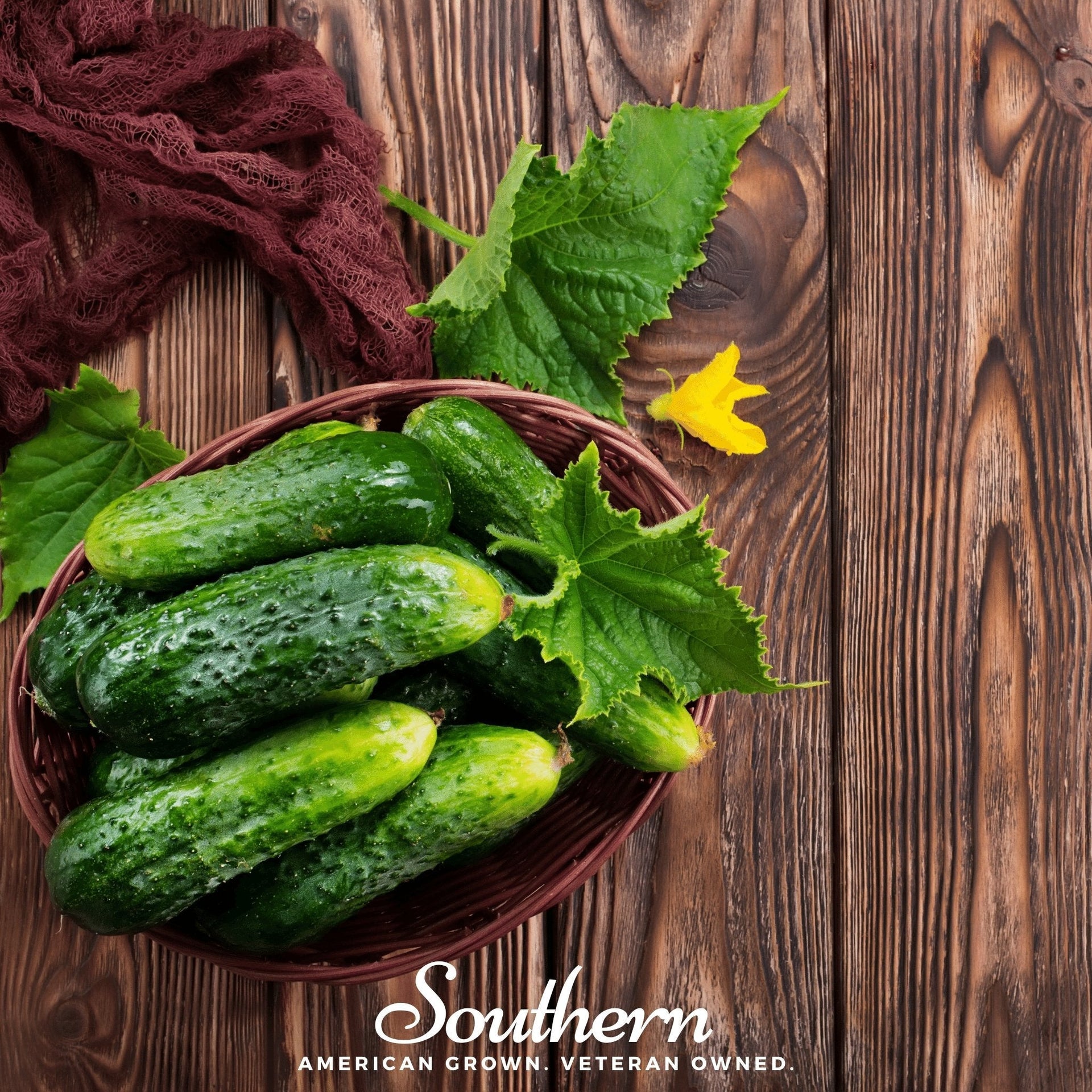Pioneer Cucumber – 30 Seeds