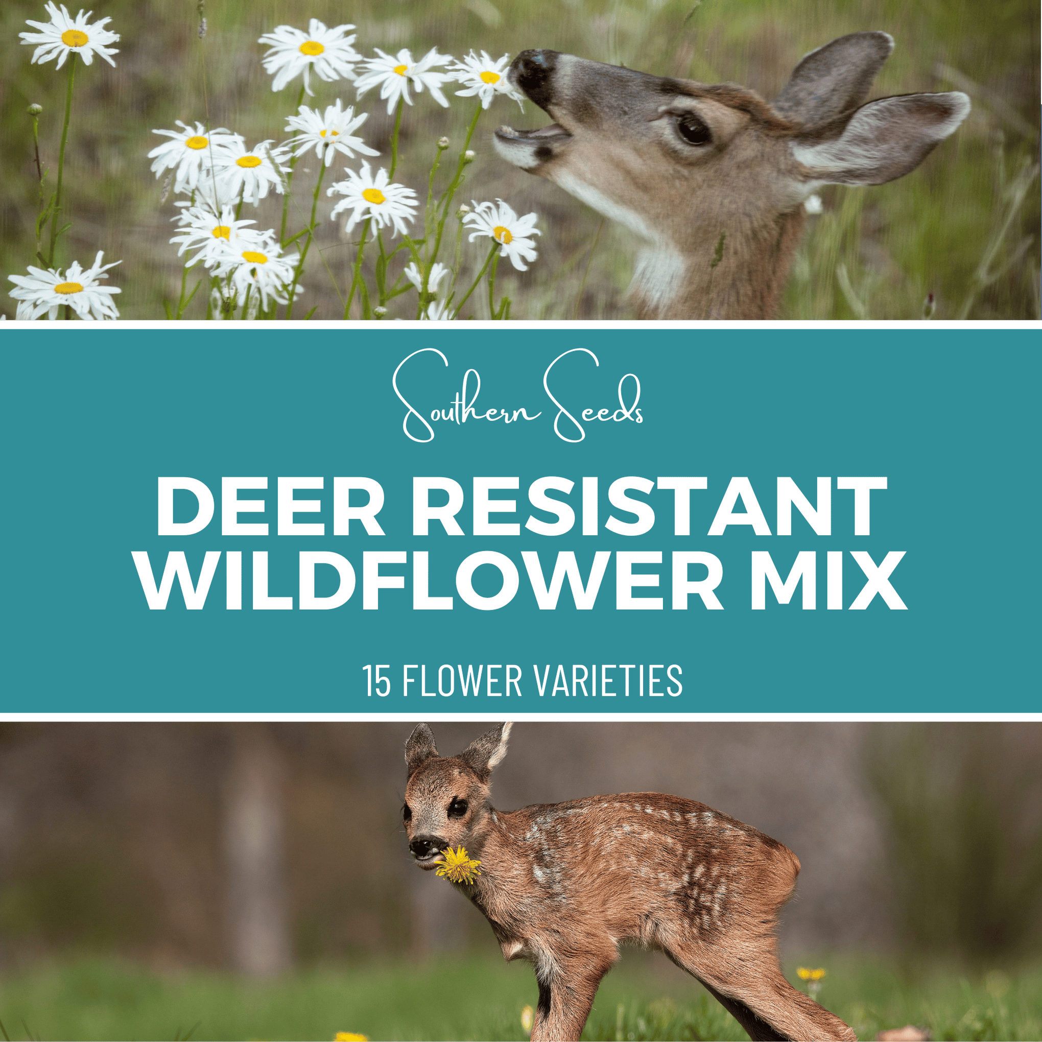 Deer Resistant Wildflower Seed Mix (15 Varieties) – 1,000 Seeds