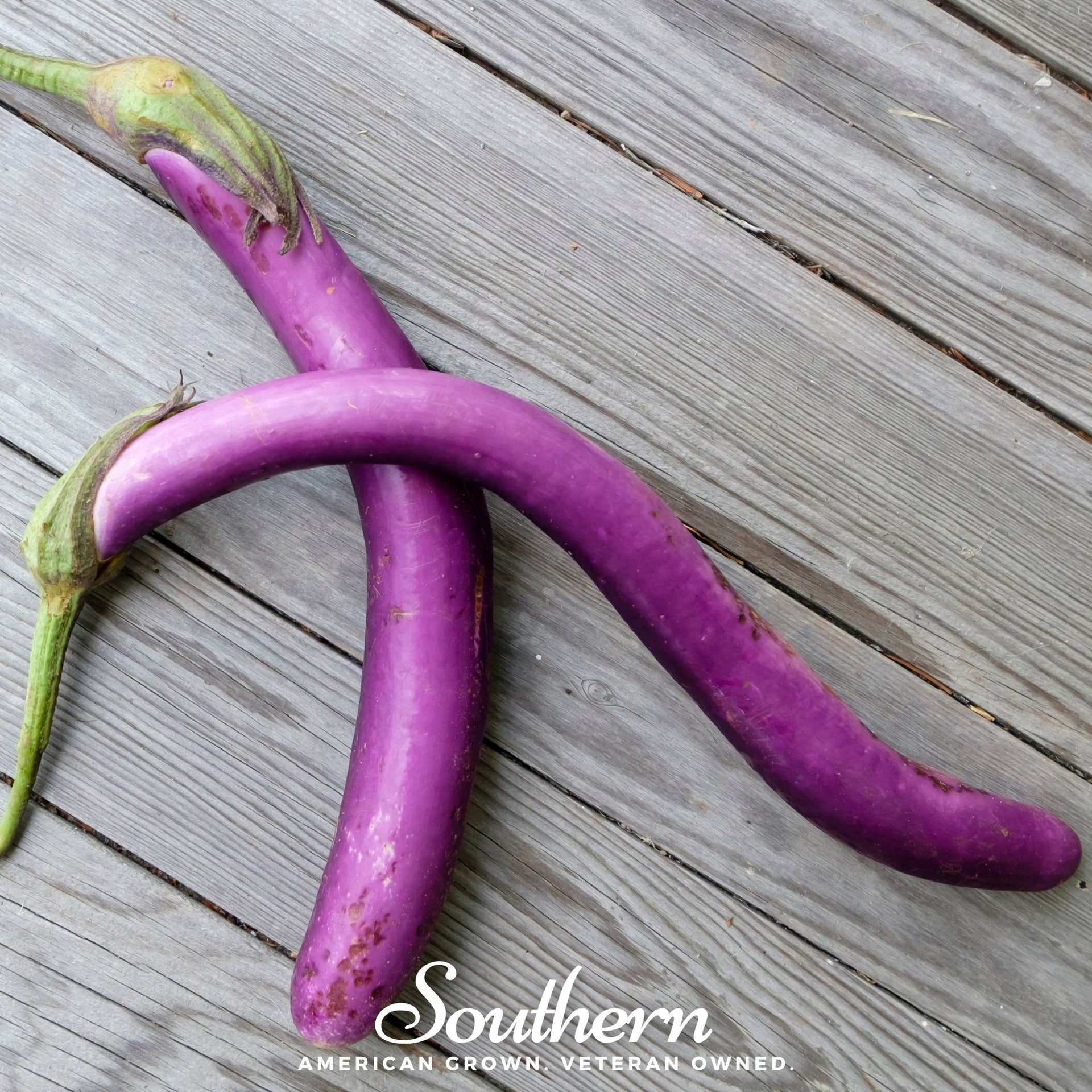 Long Purple Eggplant – 50 Seeds