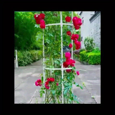 82.68-Inch White Metal Climbing Plant Trellis Garden Frame - Rust-Resistant Outdoor Cage Support with Plastic Coating, Perfect for Vines, Flowers, Vegetables, and Roses, Practical Garden Structure with Grid Design