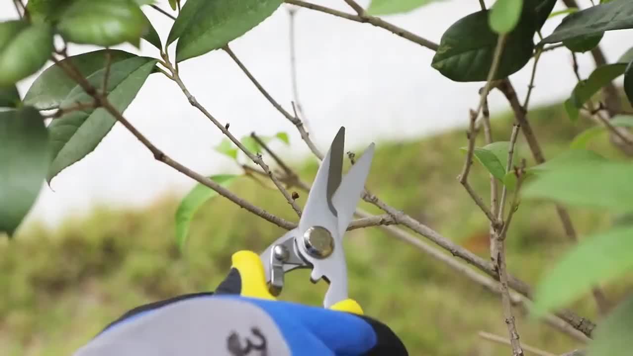 7pcs Heavy-Duty Stainless Steel Gardening Pruning Shears Set with Ergonomic Anti-Slip Handle & Storage Bag - Multifunctional Manual Garden Clippers, Fruit Picker, Tree Trimmer Tools for Landscaping, Lawn Care, Fruit Harvestin