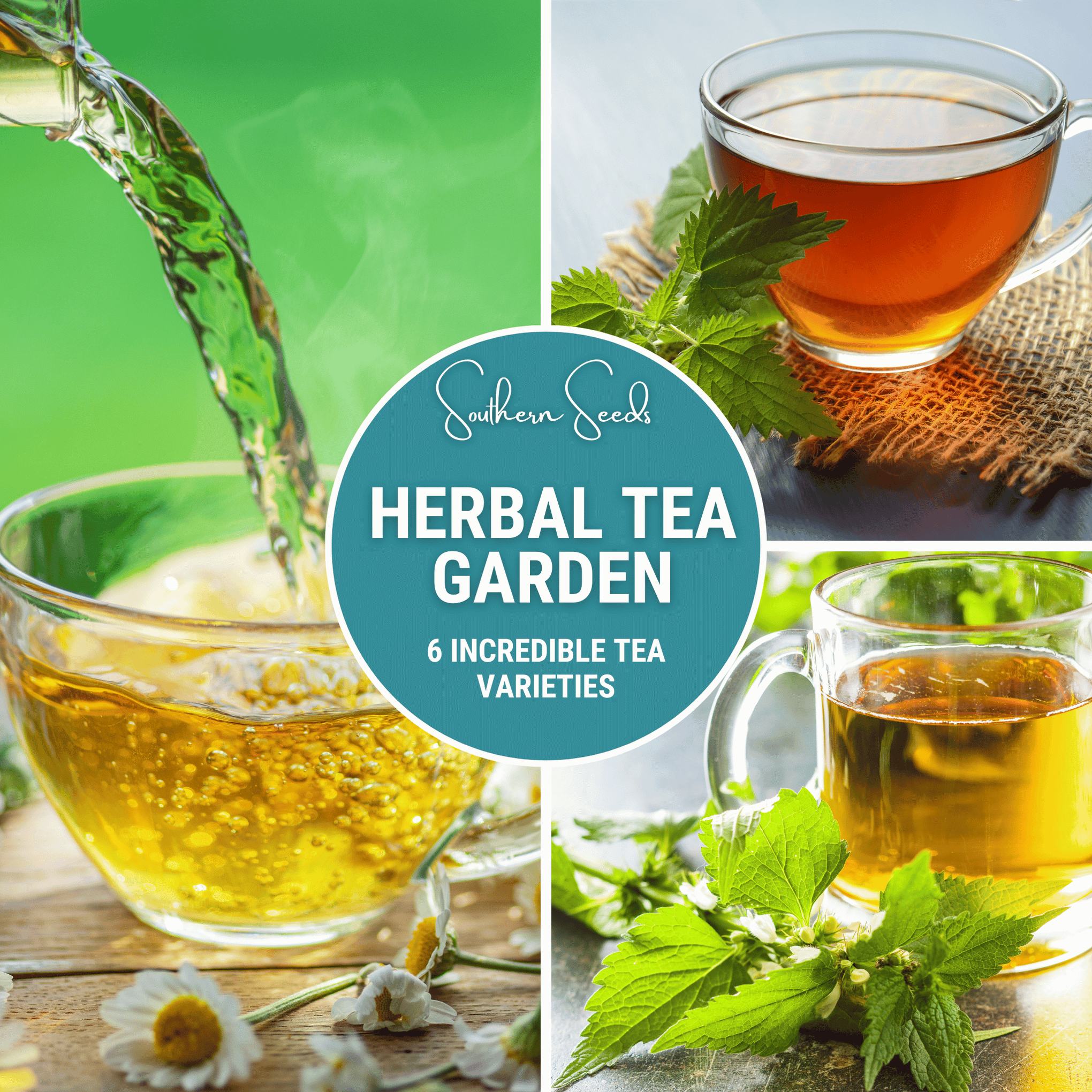 Herbal Tea Seed Collection – 6 Varieties