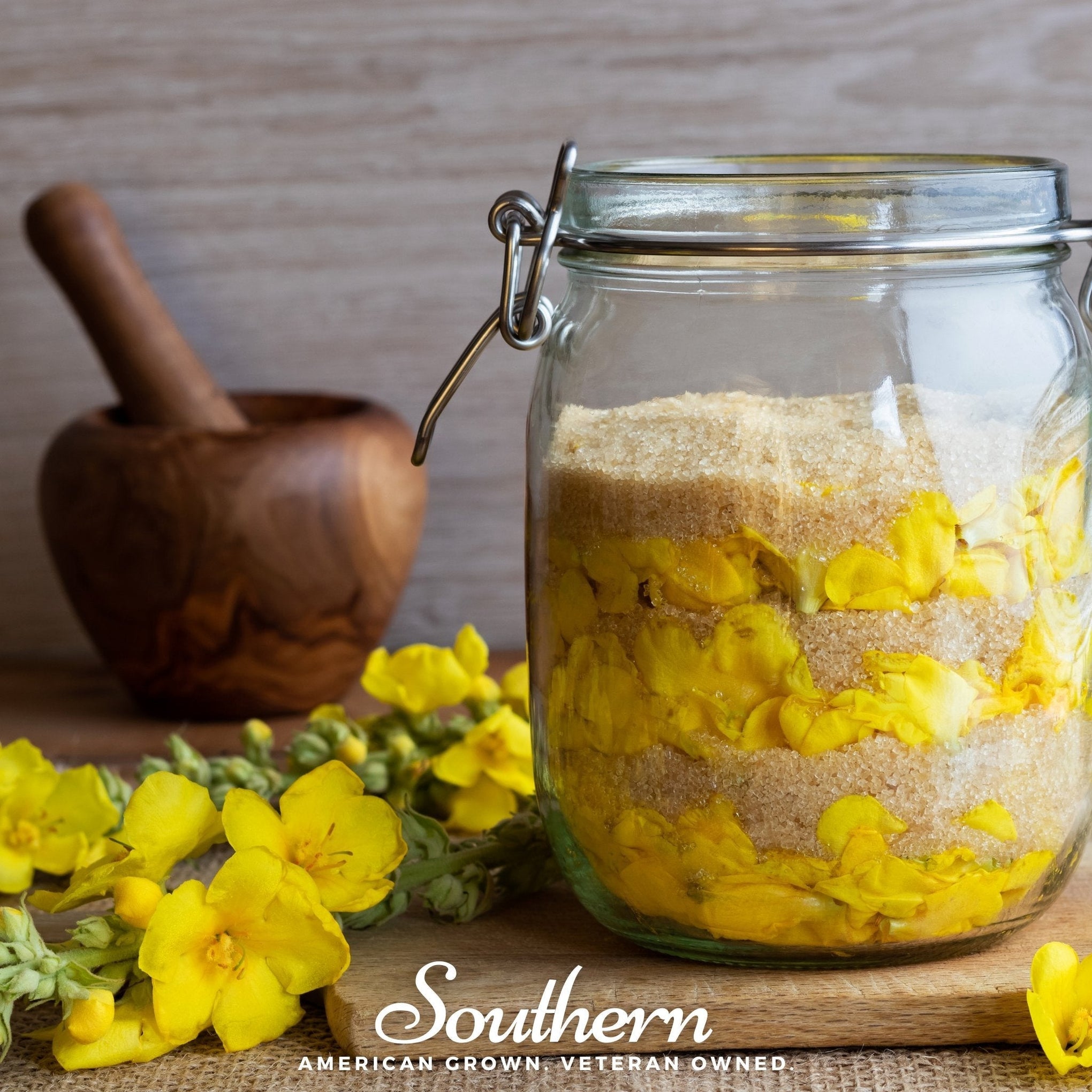 Mullein – 100 Seeds