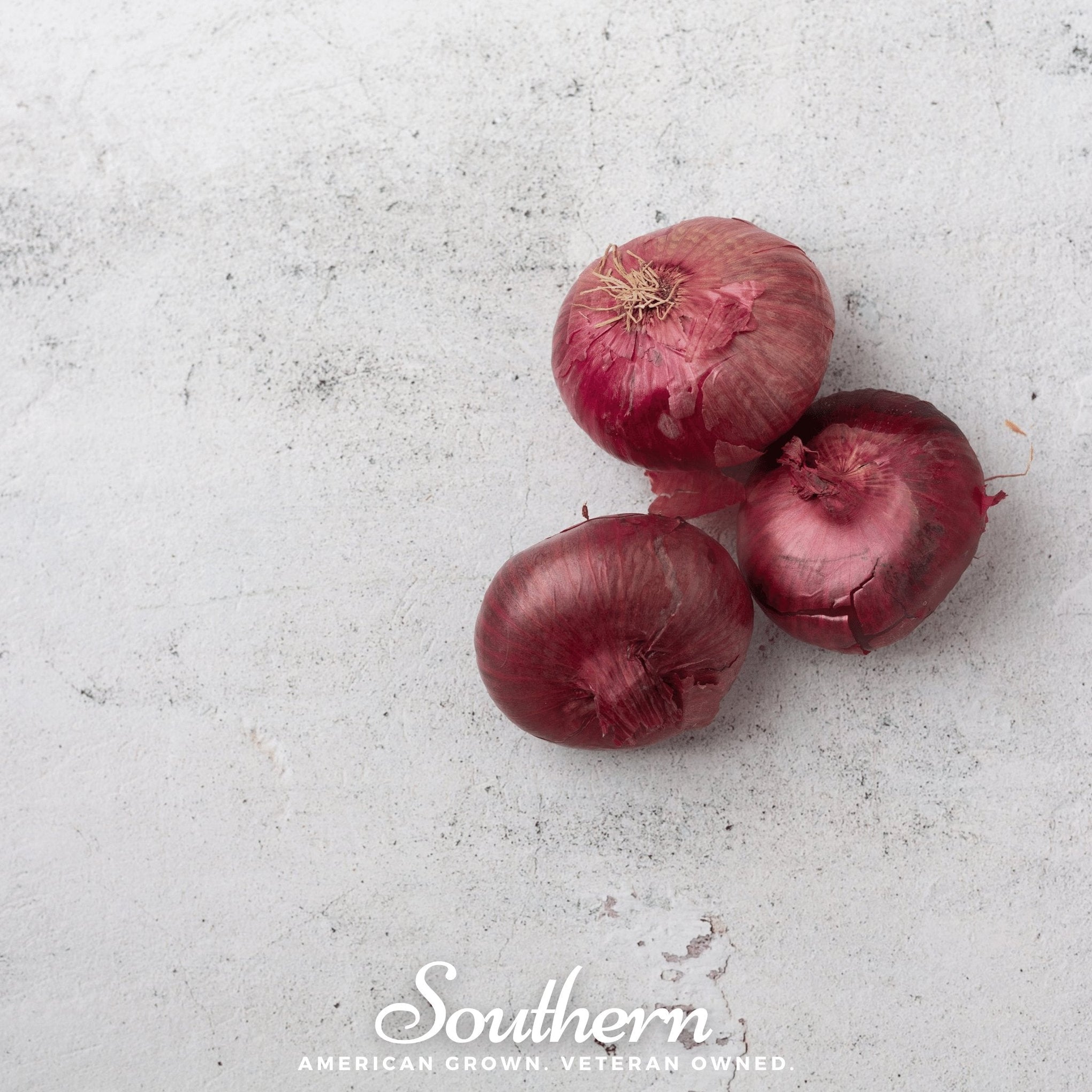 Cipollini Red Onion – 100 Seeds