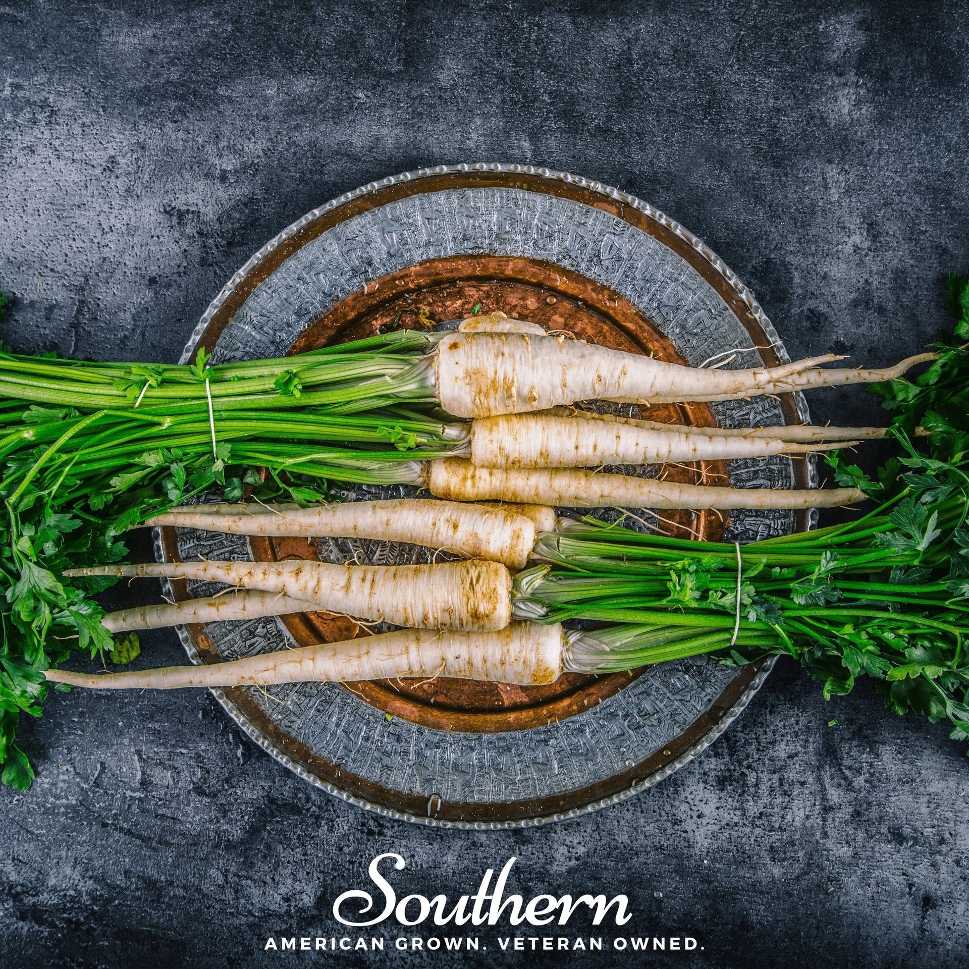 All American Parsnip – 100 Seeds