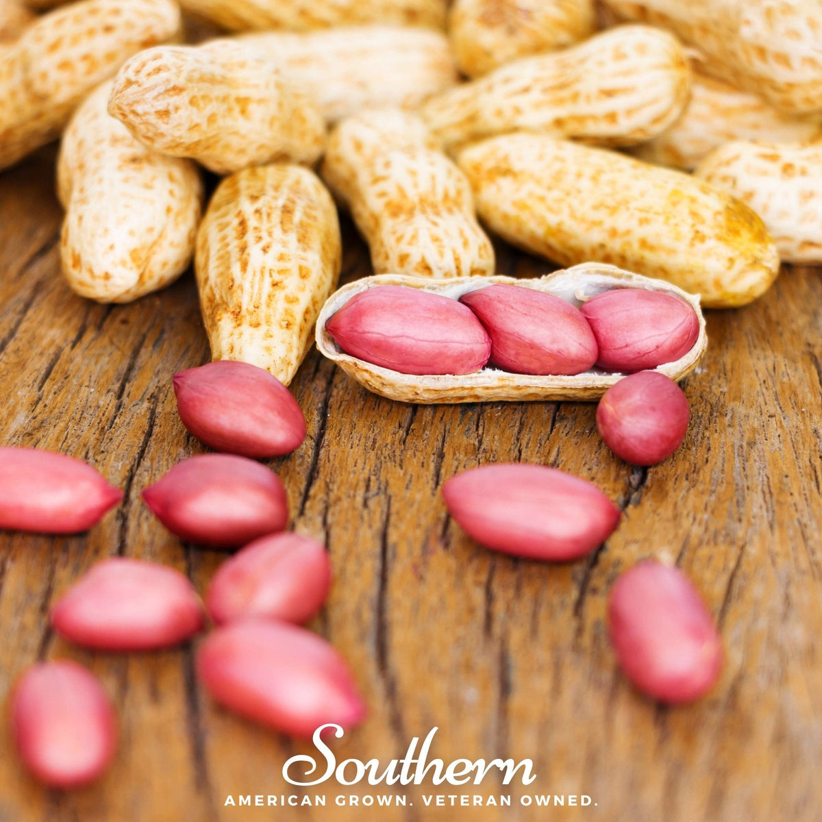 Red Ripper Peanuts Tennessee Red Peanuts – 10 Seeds – lifeintheplantlane