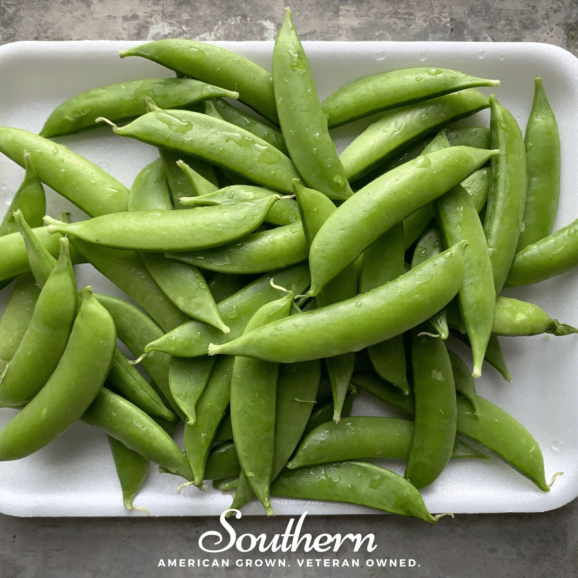 Sugar Snap Peas – 20 Seeds