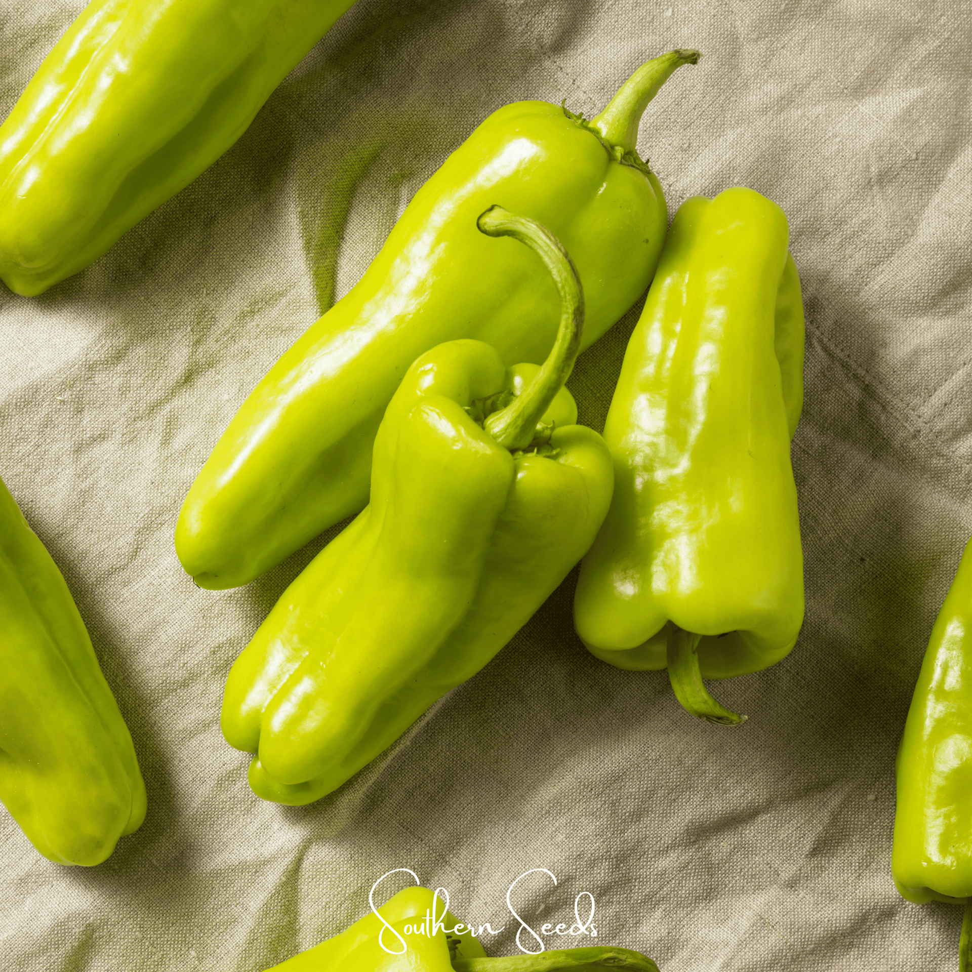 Cubanelle Sweet Pepper – 25 Seeds