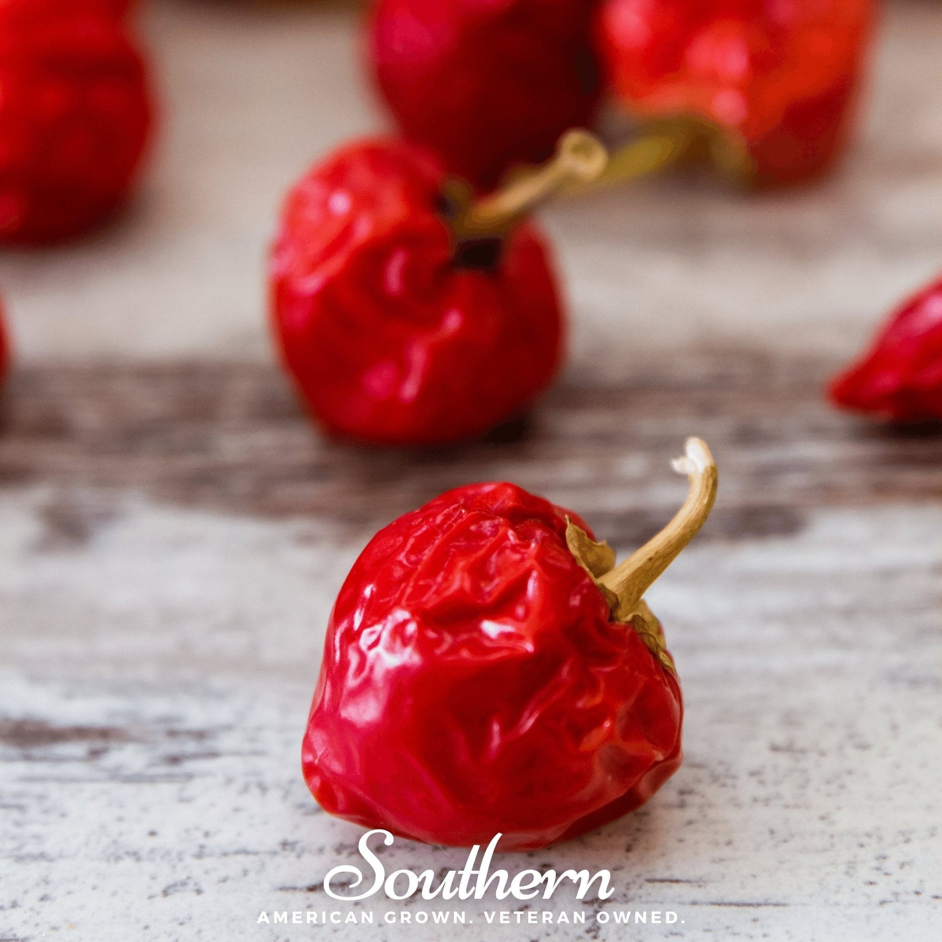 Red Hot Cherry Pepper – 25 Seeds