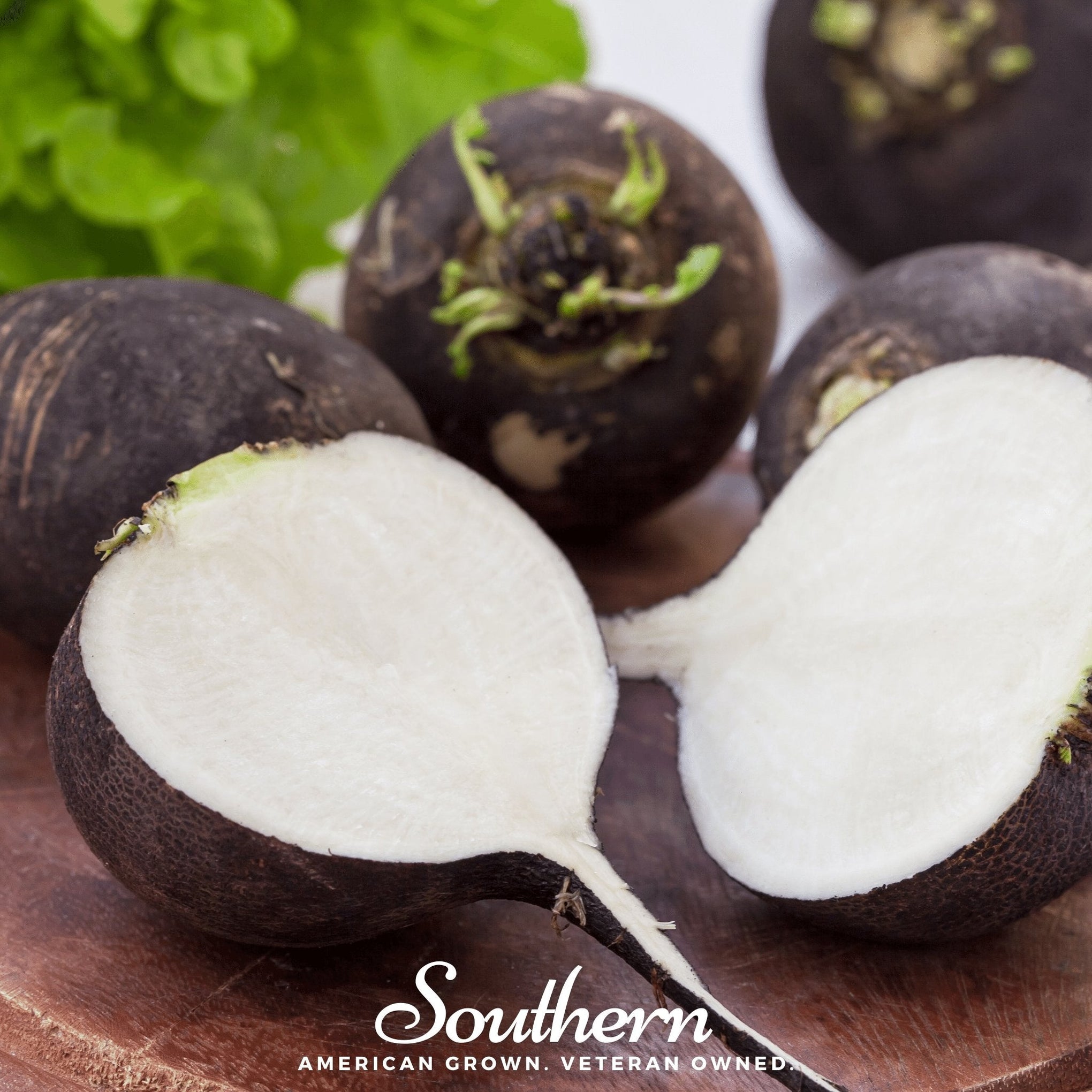 Black Spanish Radish – 250 Seeds