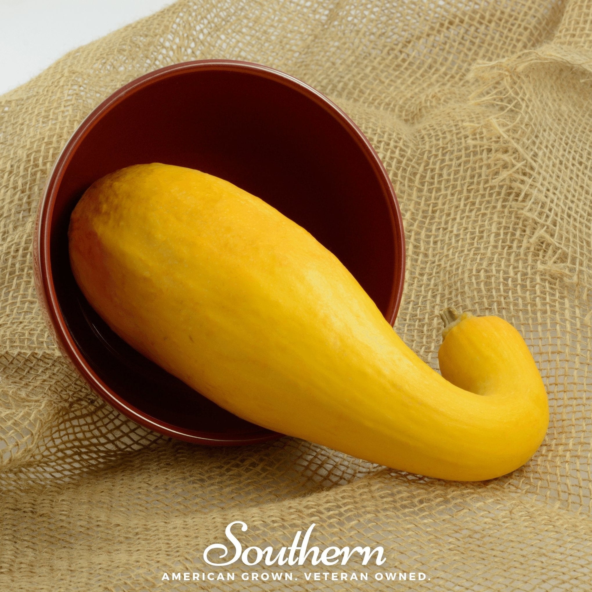 Crookneck Summer Squash – 50 Seeds