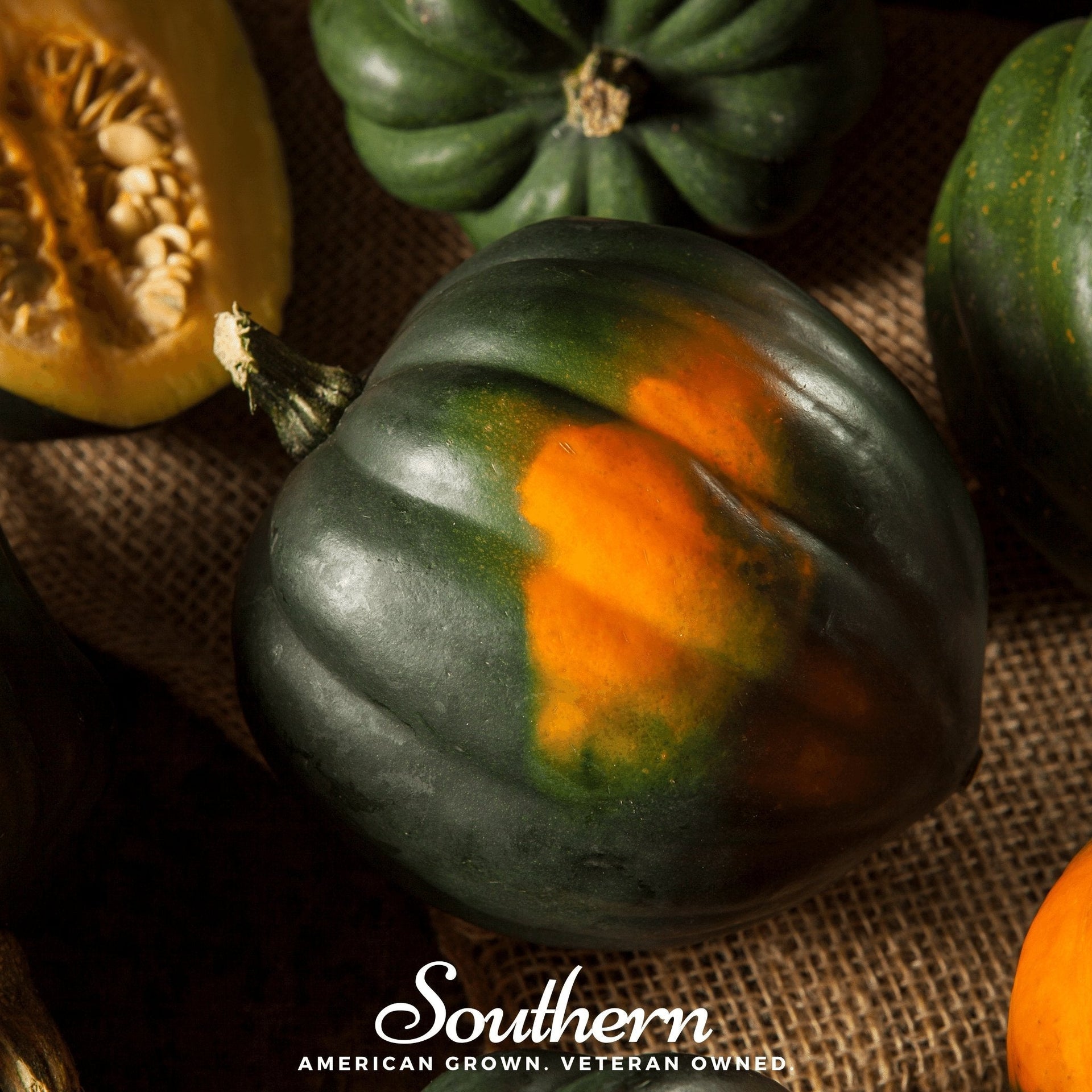 Table Queen Acorn Winter Squash – 25 Seed