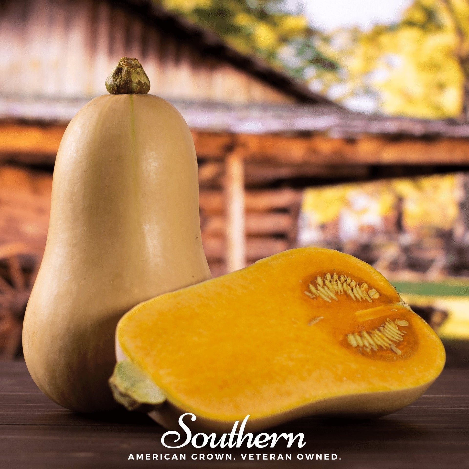 Waltham Butternut Winter Squash – 25 Seeds
