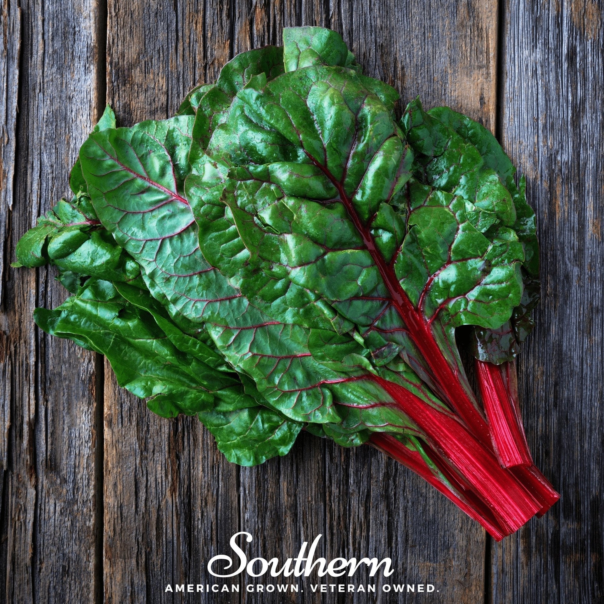 Ruby Red Swiss Chard – 100 Seeds