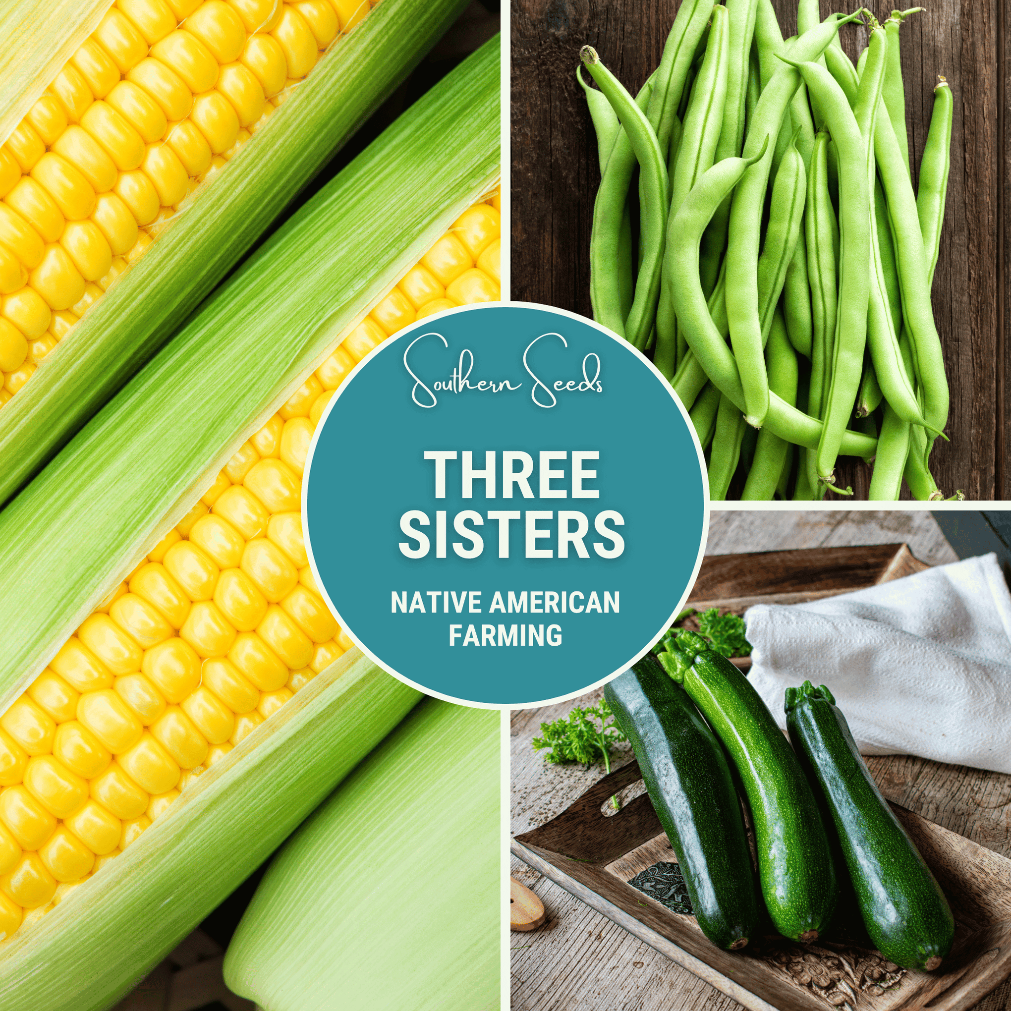 Three Sisters Seed Collection – Native American Farming – Corn, Bean, Squash