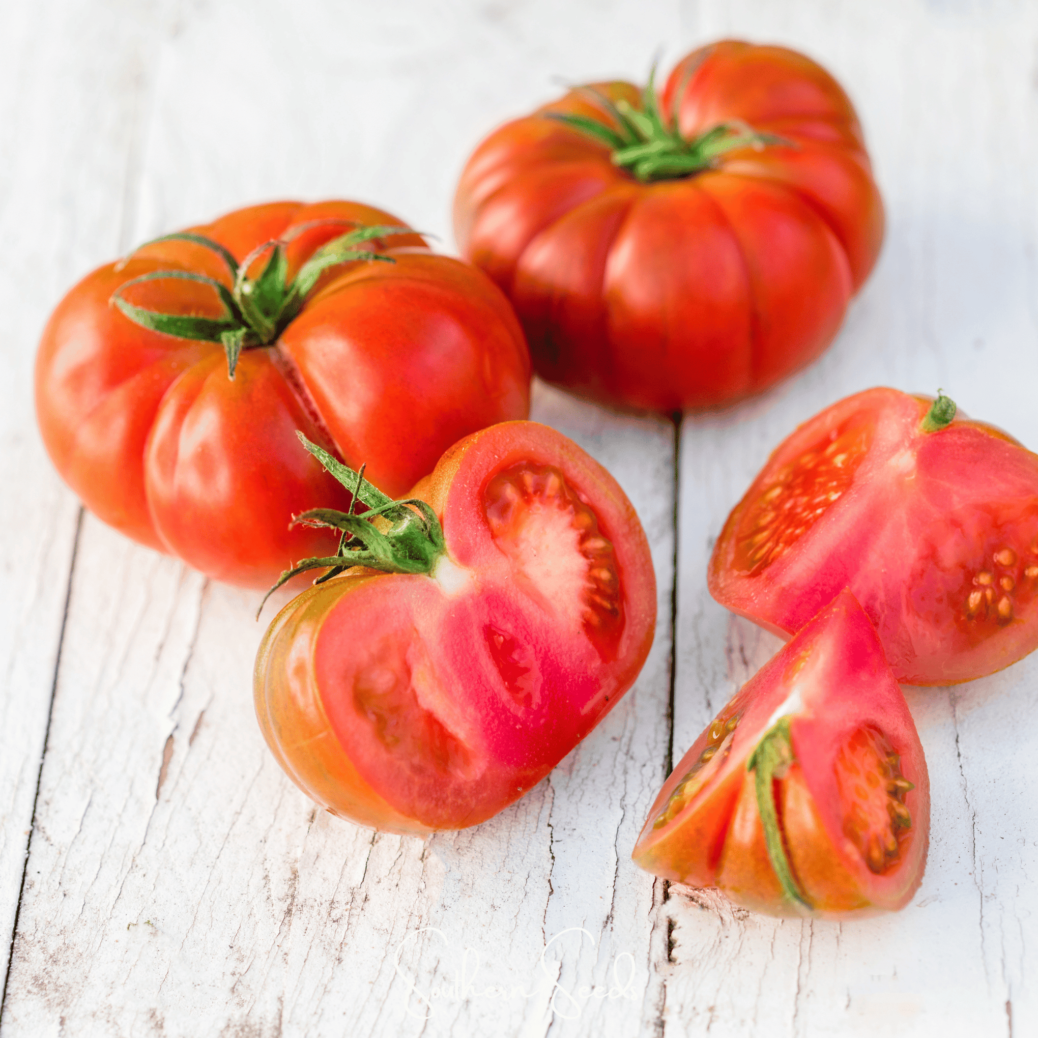 Red Brandywine Tomato –  50 Seeds